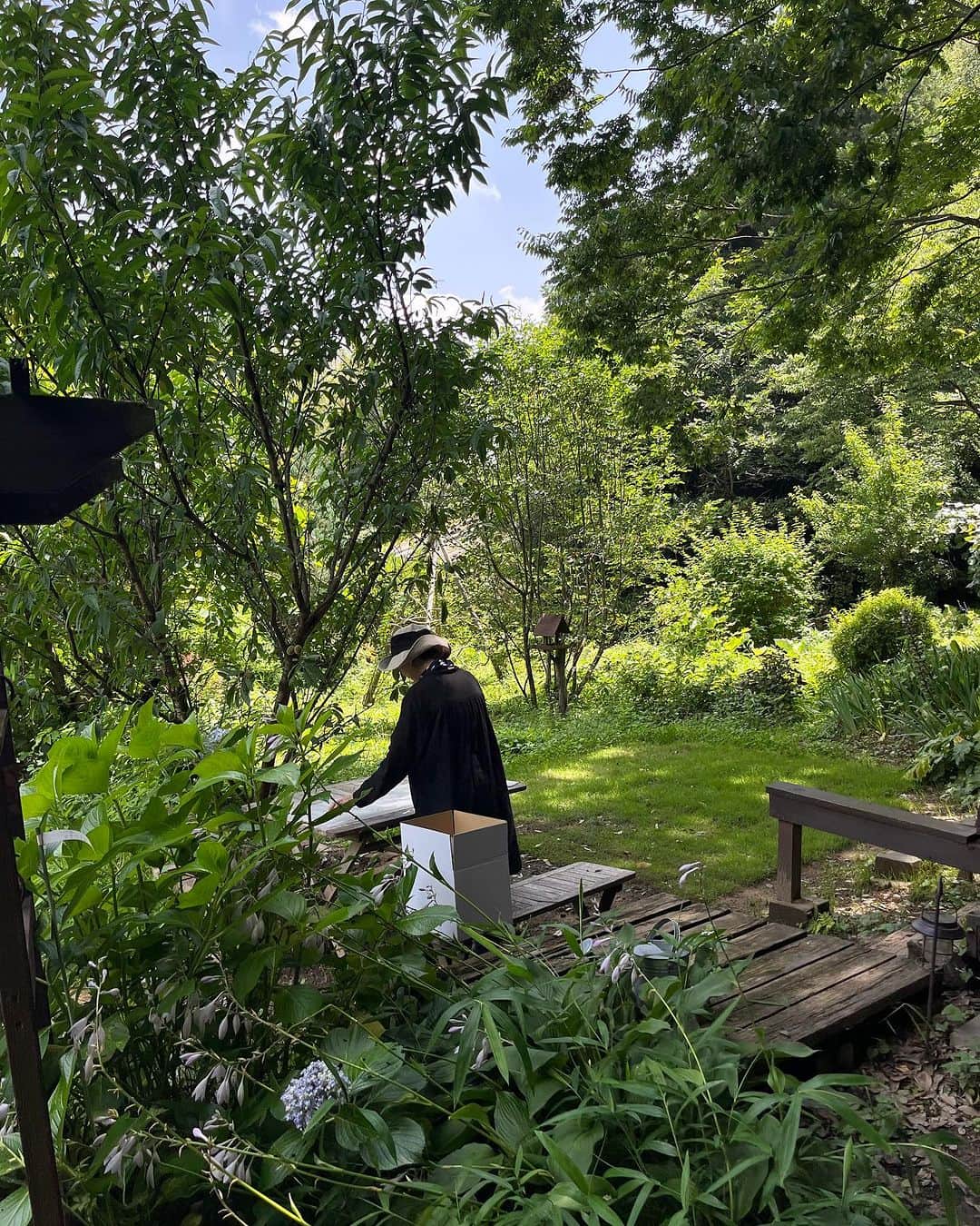 HERVA AKICOさんのインスタグラム写真 - (HERVA AKICOInstagram)「今週からオンラインの製造、発送を行なっています。順次発送していますので、ご注文頂いた皆さま、よろしくお願いいたします。  本日は、朝摘みのフレッシュハーブセットを発送させて頂きました。今回、この様なハーブの発送は初回となり、スタッフと一緒に話し合いながらご用意しました。レモンバーベナの水揚げに苦戦。 次回はよりかたちにしてご用意できるとおもいます。  ドライよりもフレッシュにこだわるhervaが前々からスタートしたかったフレッシュハーブのお届け。アトリエでは実現できるくらい少しずつハーブが育ち、また季節毎に提案できればと思っています。  そんなこと実現できた嬉しい日。 注文していただいたみなさん、Sさん、ありがとうございます♡♡  みなさまにとって、フレッシュハーブがより身近になるといいです。  最後は、畑のあるハーブでもブーケみたいにできるといいなぁと摘んでみました。ベルガモットやにんじんやセロリの花も可愛いんですよね☺️  #フレッシュハーブ#摘みたてハーブ#無農薬ハーブ#herva」7月6日 23時13分 - herva_akiko