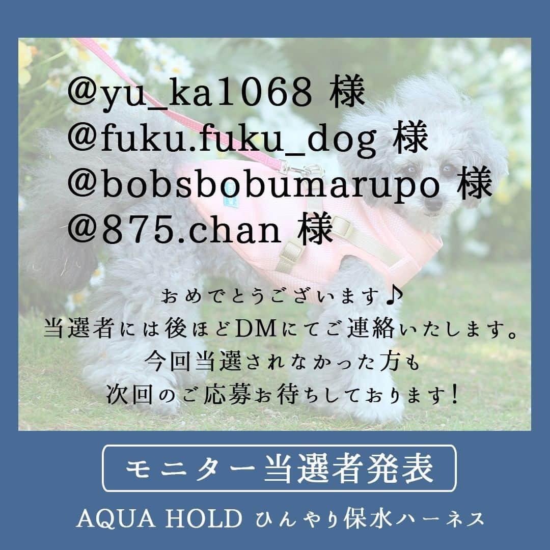 iDog&iCatさんのインスタグラム写真 - (iDog&iCatInstagram)「instagram特別企画【「AQUA HOLD ひんやり保水ハーネス」のモニター募集】にたくさんのご応募をいただき、ありがとうございました！  お待たせいたしました！厳正な抽選の結果、プレゼント当選者を決定いたしました。 当選者は  @yu_ka1068 様 @fuku.fuku_dog 様 @bobsbobumarupo 様 @875.chan 様  上記4名の方に決定いたしました。おめでとうございます！  モニター当選者には個別にダイレクトメッセージにてご連絡いたします。 その際、オーナー様のご氏名・プレゼント送付先をご連絡ください。  残念ながら今回当選できなかった皆様も、次回の開催をお楽しみに！  #IDOGICAT #iDog #iCat #犬 #いぬ #猫 #ねこ #ひんやり #熱中症対策 #モニター募集 #iDogSNSモニター応募 #犬の服iDog #お試し #犬服 #ドッグウェア #ペット」7月6日 14時13分 - idogicat