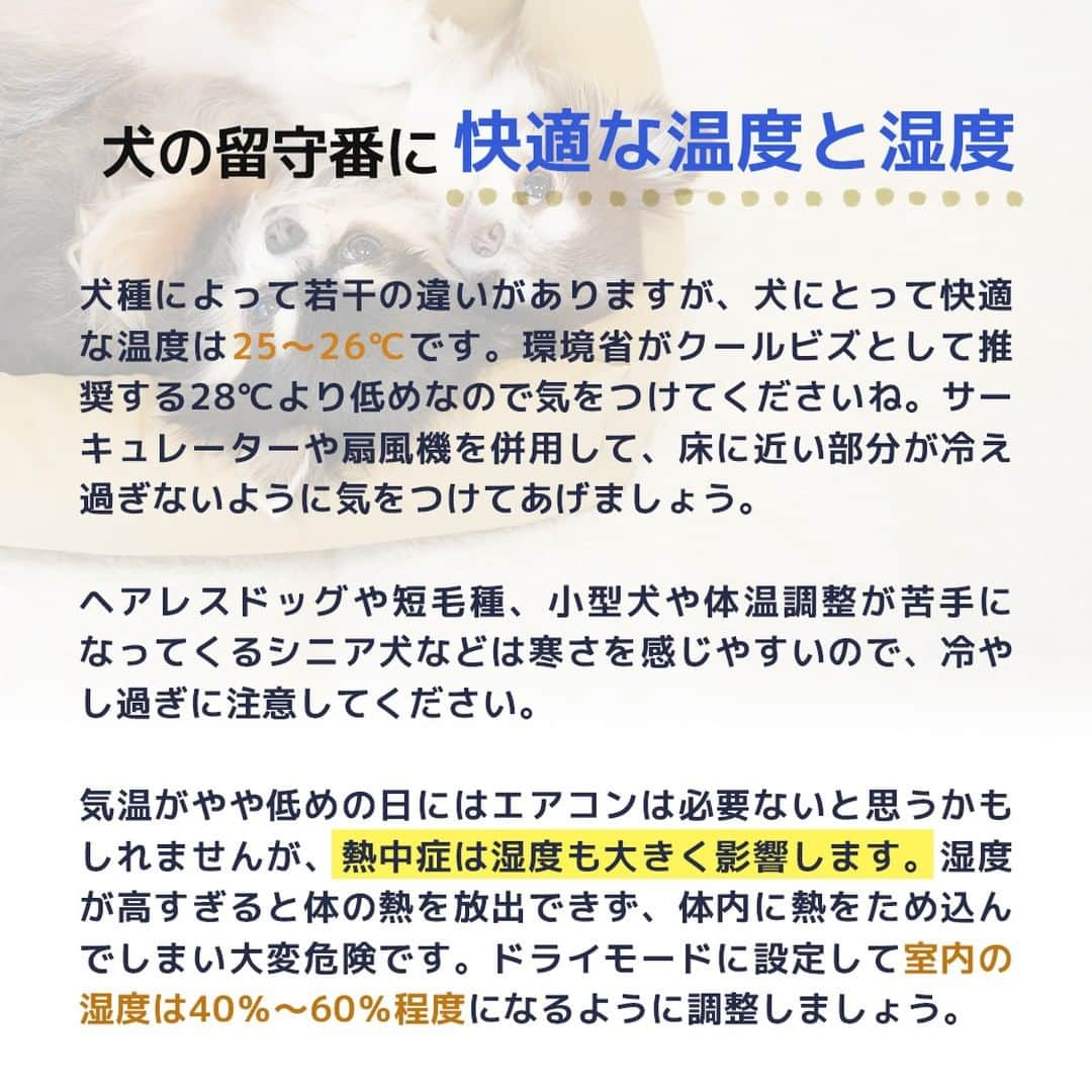 iDog&iCatさんのインスタグラム写真 - (iDog&iCatInstagram)「愛犬との暮らしをもっと楽しく快適に！ IDOG&ICATのお役立ちコラム随時更新中です♪  本日は夏のワンちゃんのお留守番について注意すべきことなどをまとめた記事を紹介いたします！  【犬の留守番は熱中症に注意！エアコンの温度は？おすすめ室内用クールアイテムも】  熱中症になるのは人間だけではありません。 飼い主の目が届かない、ワンちゃんだけのお留守番などは気を付けなければなりませんね。  IDOG&ICATでは様々なひんやりアイテムをご用意しております。 是非、ワンちゃんとの暮らしにご利用ください♪  ●保存しておけばいつでも見返せて便利です♪  コラムはIDOG&ICAT公式サイトからご覧いただけます！ https://www.idog.jp/blog/2023/07/05/indoor-heat-stroke-measures/  #iDog #IDOGICAT #iCat #犬の服 #犬服 #ペットウェア #犬の服iDog #犬 #うちの子優勝 #わんすたぐらむ #dog #チワワ #トイプードル #ミニチュアダックス #柴犬 #ペット用品 #犬との暮らし #熱中症対策 #夏 #暑さ対策 #ひんやり #ペットベッド #留守番」7月6日 15時11分 - idogicat