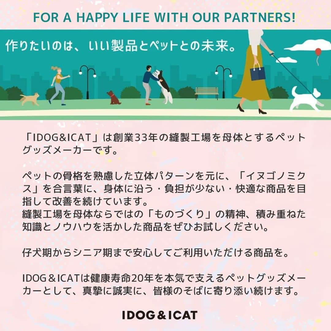 iDog&iCatさんのインスタグラム写真 - (iDog&iCatInstagram)「愛犬との暮らしをもっと楽しく快適に！ IDOG&ICATのお役立ちコラム随時更新中です♪  本日は夏のワンちゃんのお留守番について注意すべきことなどをまとめた記事を紹介いたします！  【犬の留守番は熱中症に注意！エアコンの温度は？おすすめ室内用クールアイテムも】  熱中症になるのは人間だけではありません。 飼い主の目が届かない、ワンちゃんだけのお留守番などは気を付けなければなりませんね。  IDOG&ICATでは様々なひんやりアイテムをご用意しております。 是非、ワンちゃんとの暮らしにご利用ください♪  ●保存しておけばいつでも見返せて便利です♪  コラムはIDOG&ICAT公式サイトからご覧いただけます！ https://www.idog.jp/blog/2023/07/05/indoor-heat-stroke-measures/  #iDog #IDOGICAT #iCat #犬の服 #犬服 #ペットウェア #犬の服iDog #犬 #うちの子優勝 #わんすたぐらむ #dog #チワワ #トイプードル #ミニチュアダックス #柴犬 #ペット用品 #犬との暮らし #熱中症対策 #夏 #暑さ対策 #ひんやり #ペットベッド #留守番」7月6日 15時11分 - idogicat