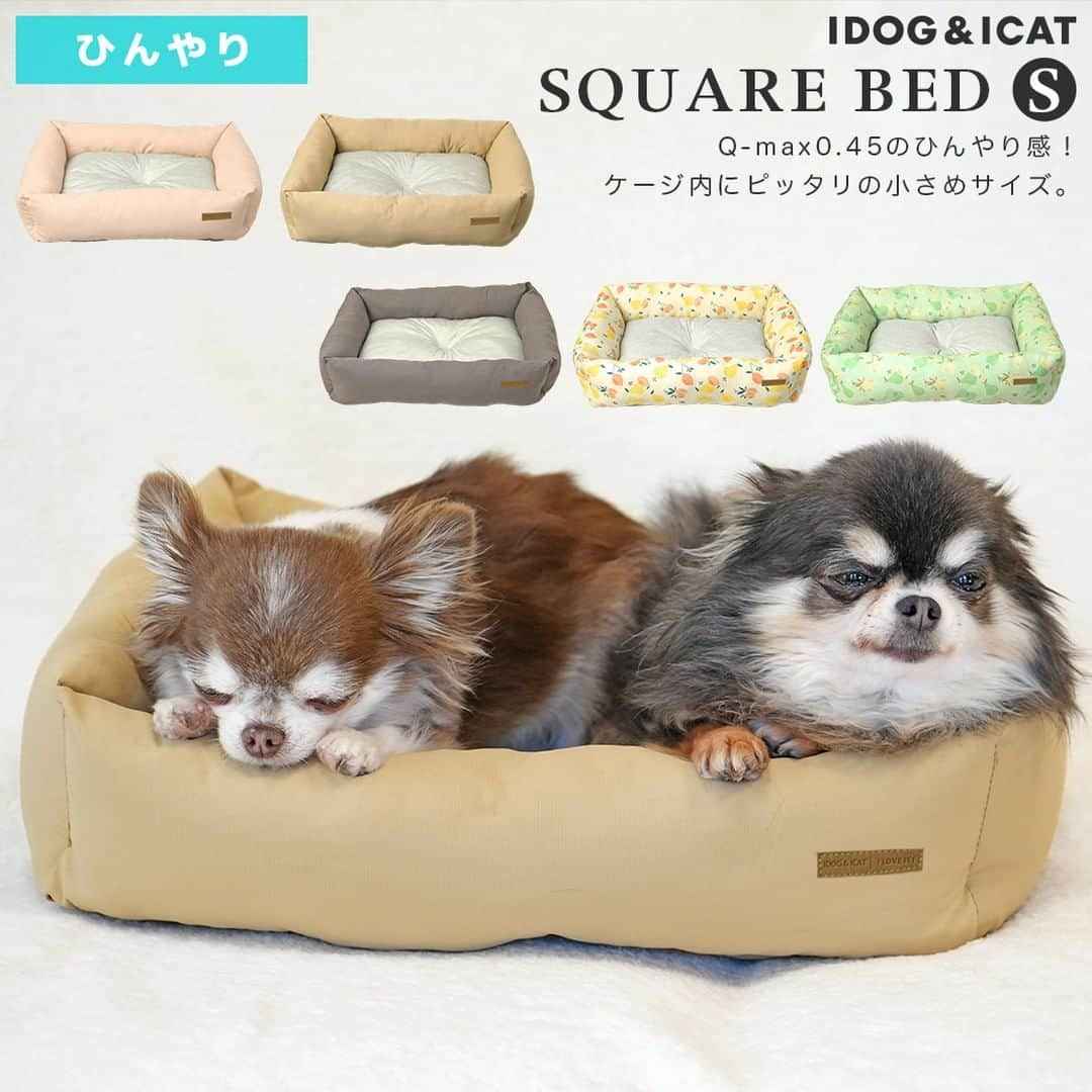 iDog&iCatさんのインスタグラム写真 - (iDog&iCatInstagram)「愛犬との暮らしをもっと楽しく快適に！ IDOG&ICATのお役立ちコラム随時更新中です♪  本日は夏のワンちゃんのお留守番について注意すべきことなどをまとめた記事を紹介いたします！  【犬の留守番は熱中症に注意！エアコンの温度は？おすすめ室内用クールアイテムも】  熱中症になるのは人間だけではありません。 飼い主の目が届かない、ワンちゃんだけのお留守番などは気を付けなければなりませんね。  IDOG&ICATでは様々なひんやりアイテムをご用意しております。 是非、ワンちゃんとの暮らしにご利用ください♪  ●保存しておけばいつでも見返せて便利です♪  コラムはIDOG&ICAT公式サイトからご覧いただけます！ https://www.idog.jp/blog/2023/07/05/indoor-heat-stroke-measures/  #iDog #IDOGICAT #iCat #犬の服 #犬服 #ペットウェア #犬の服iDog #犬 #うちの子優勝 #わんすたぐらむ #dog #チワワ #トイプードル #ミニチュアダックス #柴犬 #ペット用品 #犬との暮らし #熱中症対策 #夏 #暑さ対策 #ひんやり #ペットベッド #留守番」7月6日 15時11分 - idogicat