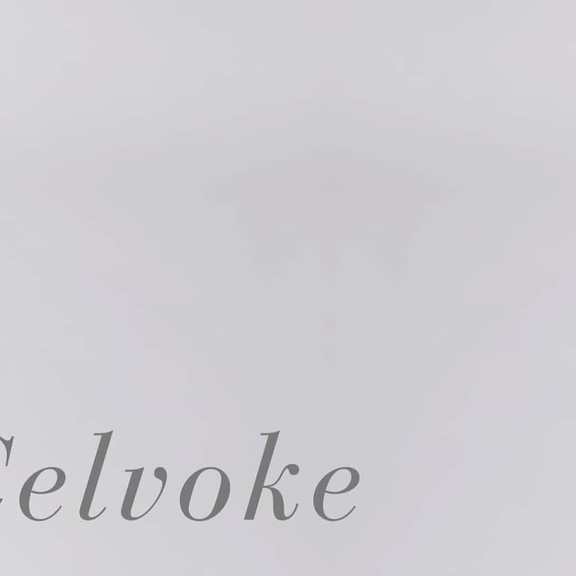 celvoke.jpのインスタグラム