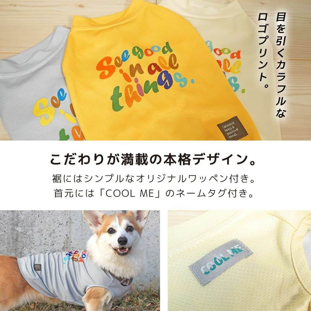 iDog&iCatさんのインスタグラム写真 - (iDog&iCatInstagram)「本日は「COOL ME カラフルロゴタンク」をご紹介いたします！  1.水に濡らして、2.絞って、3.叩くの3ステップで簡単にひんやり。特殊な構造の冷感素材を使用しました。含んだ水分を気化する際の「気化熱による放熱クール効果」ですぐにひんやりします。特殊な生地構造が含んだ水分を保持して冷感効果が長持ちします。水だけで簡単にひんやりするECO素材です。洗濯等でひんやり機能がなくなることはありません。  背中のカラフルなロゴプリントが目を引くタンクです。 裾にはシンプルなオリジナルワッペン付きです。 首元には「COOL ME」のネームタグが付いています。  首周り・裾・袖口は共生地でスッキリ仕上げてあります。 前裾にはゴムを入れ、着せた時にズレにくく、おしっこがかかりにくい仕様になっています。フィット感がでて着せた時のラインがキレイになります。  吸湿・吸汗素材＆凹凸の加工でとにかくべたつきが少なく、サラリと軽い着心地です。  抗菌・消臭はもちろんUV-A 98％カット・UV-B 98％カット・UPF50+で紫外線対策もバッチリです。  クールウェアは、特に暑さに弱いフレブルやパグ等の短頭種、短毛の子、黒い毛色の子にもぴったり。ペットに有害な素材を内包していないので、噛み癖のある子も安全に着用できます。冷感UVカットウェアを着用することでペットの健康管理にもつながります。  ※抗菌加工は商品によってウイルス感染を防ぐものではありません。商品に付着した菌を無害化する商品です。  商品番号/16379- 商品名/COOL ME カラフルロゴタンク 2,585円(税込)  #iDog #iDogiCat #iCat #ペット服 #ドッグウェア #春夏 #犬服 #犬の服 #犬の服iDog #うちの子優勝 #ひんやり #ひんやり冷感 #UV加工 #UVカット #抗菌 #消臭」7月6日 15時49分 - idogicat