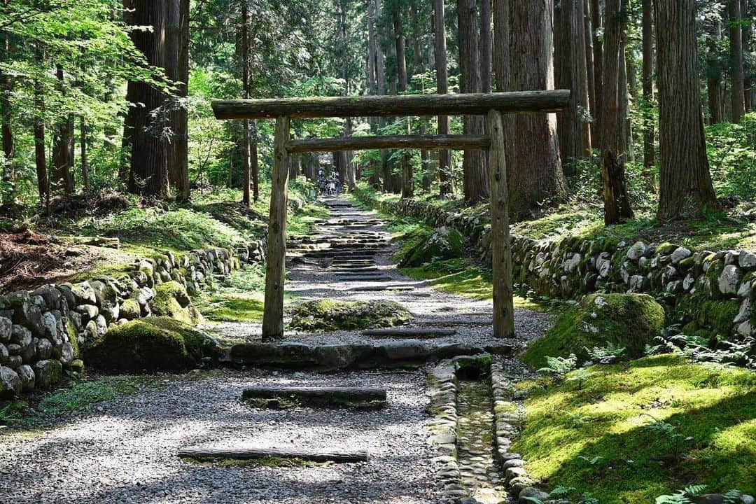 のインスタグラム：「‖平泉寺白山神社 Photo by @desuyo.desu.desu https://www.instagram.com/p/CrlLM2BPIbq/ * ニコンのカメラ・レンズで撮影され、「#nikoncreators」をつけて投稿していただいた皆さまの作品をご紹介します。投稿の際は使用機材名をぜひご記載ください。 （作品使用に関するガイドラインは本アカウントのプロフィールに記載しているURLからご覧ください）  #nikoncreators #ニコン #nikon #一眼 #カメラ #camera #nikon📷 #nikonlove #light_nikon #平泉寺白山神社 #神社  ※皆様、政府、自治体など公的機関の指示に従った行動をお願いします。  nikonjpでは、写真を「見る楽しみ」を提供することを通して、 微力ながら皆様にわずかな時間でも癒しをお届けしたいと思っております。 本アカウントでの投稿を引き続きお楽しみください。 . 【ご注意ください】⠀⠀ ニコンイメージングジャパン公式を名乗るなりすましアカウントが確認されています。 不審なDMを受け取った場合、記載されているURLなどはクリックせず、DMの削除などをお願いいたします。 . ニコンイメージングジャパン公式アカウントは下記からご確認いただけます。 https://www.nikon-image.com/socialmedia/」