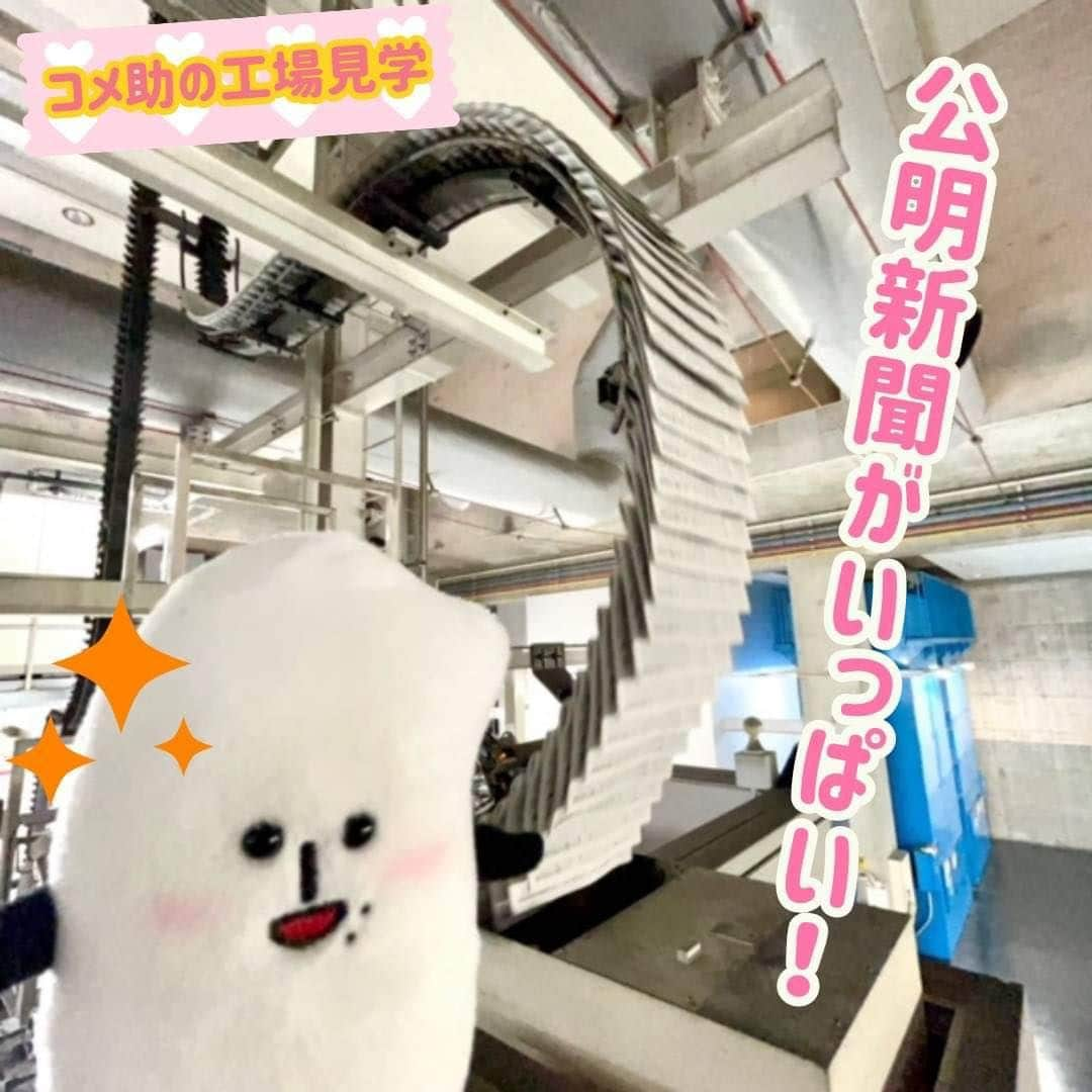 コメ助のインスタグラム