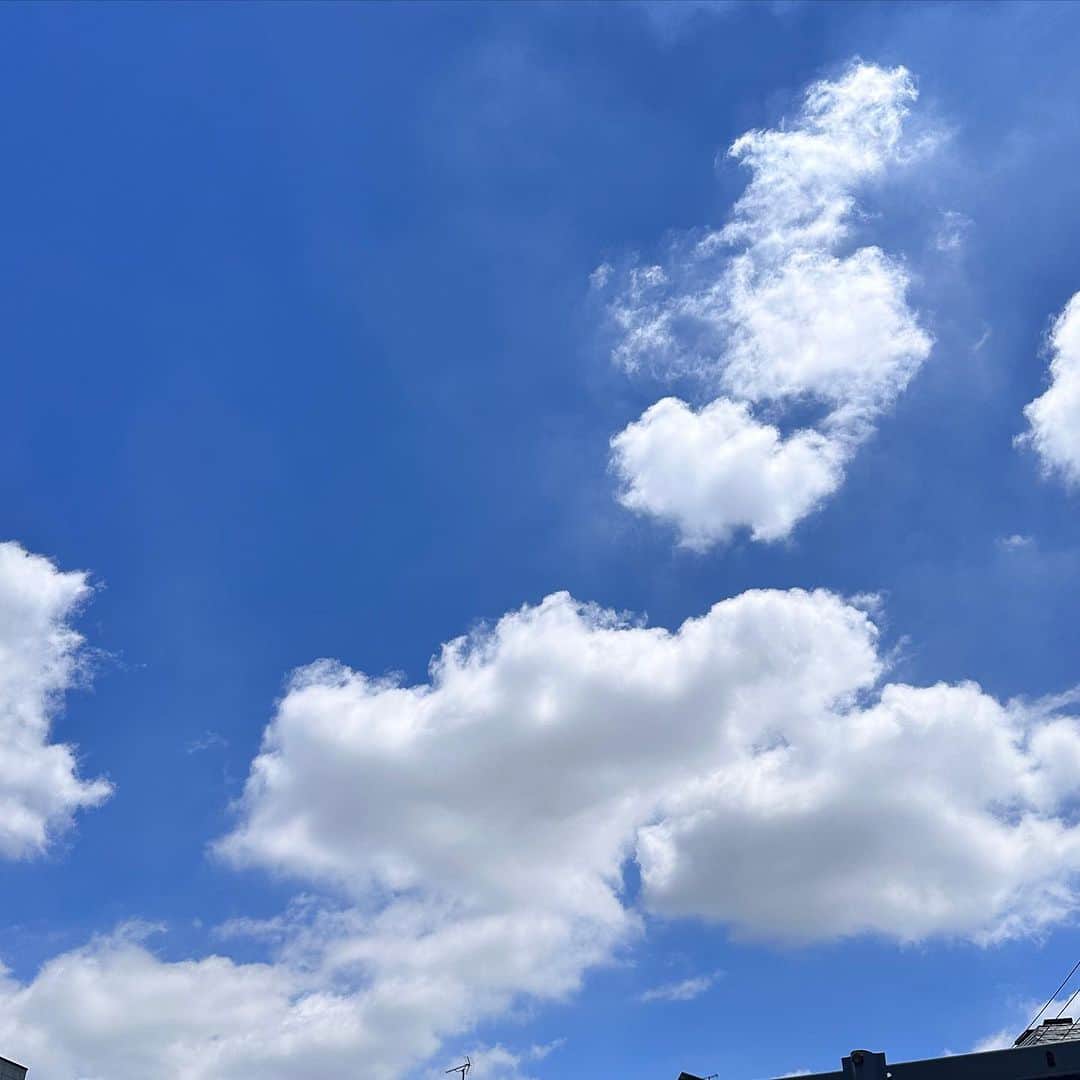 JILLのインスタグラム：「夏空☀️ あぢー💦 でも夏が来た。のかな。  7月22日-仙台rensaホール 7月23日_函館金森ホール —————————————- PERSONZ「I AM THE BEST TOUR」 6月18日_高知県立県民文化ホール グリーンホール 6月24日_札幌CUBE GARDEN 7月02日_ヒューリックホール東京 7月22日-仙台rensaホール 7月23日_函館金森ホール 8月04日_名古屋ダイアモンドホール 8月05日_大阪クラブクワトロ 8月11日_新潟LOTS 8月12日_高崎芸術劇場スタジオシアター 8月26日_福岡電気みらいホール —————————————-  #jillpersonz  #personz  #youtubepersonzチャンネル #note  #jillpersonz  #エアプレ #JILLプレ #ラジオ高崎 #三味線jill屋」