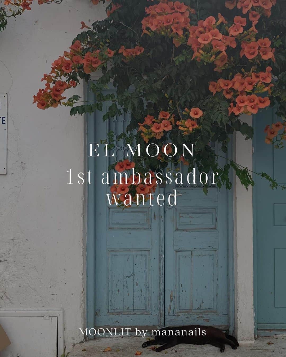 mananailsのインスタグラム：「【EL MOON オフィシャルアンバサダー募集のお知らせ❤️‍🔥】  EL MOON商品をつかった 可愛いアートや新しいデザインを 生み出してくれる仲間を募集します✨  ☾アンバサダー活動内容 EL MOON商品をご提供いたします💅🏼  素敵に撮影していただいた商品や、商品を使用したデザインを 指定のハッシュタグをつけてご自身のフィードや リールにて投稿をしていただきます✨ (月1リール 月2post投稿程度をお願いする予定です)  ご投稿していただいたpostやリールなどを @moonlit_bymananails @moonlit_shop で リポストしていく予定です✨  アンバサダーZoom MTGなども予定しております🤭  ☾応募期間 7月6日~7月18日 23時59分まで  ☾人数 未定  ☾応募方法 このpostのストーリーシェアと  #ELMOONアンバサダー応募   をつけて、デザインチップやネイル作品などを 自分のpostに投稿してください✨  ※お一人何枚でもご応募いただけますが、 ハッシュタグはなんでも！ではなく 自信作のみに付けるようお願いいたします🙇🏼‍♀️  ※EL MOON商品でなくても構いません！ アンバサダーに選ばれたらこういうのを投稿していきたいな❣️ というお気持ちが分かるような投稿をお待ちしています✨  ※MOONLITっぽい、も嬉しいですが、 より独創性のあるデザインwelcomeです🤲🏼  ☾応募条件 ・ @moonlit_bymananails @moonlit_shop をフォローしてくださっている方、新規フォローも大歓迎です🫶🏽 ・Instagram公開アカウント ・国内在住の方  ☾注意事項 ・ご応募いただくにあたり、募集要項に同意いただいたものとみなします🙇🏼‍♀️ ・複数のアカウントを利用してのご応募はお控えください🙇🏼‍♀️ ・ 当選権利の第三者への譲渡、賞品の交換・返品等はできません🙇🏼‍♀️ ・転売目的での応募はお断りさせていただきます🙇🏼‍♀️ ・ 応募状況や当選結果、抽選方法に関するお問い合わせにはお答えできません🙇🏼‍♀️ ・企画内容、スケジュール等は変更になる場合がございます🙇🏼‍♀️」