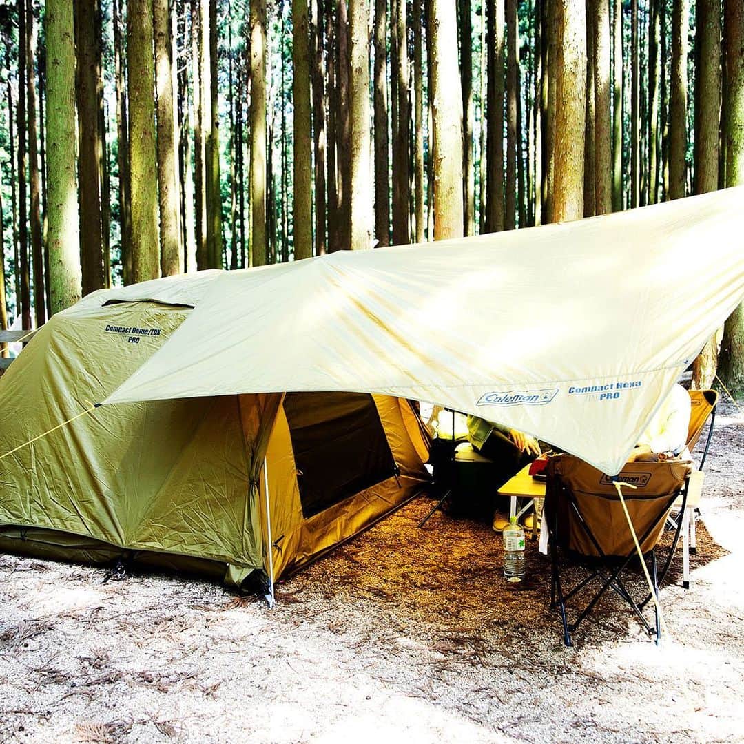 キャンプ情報サイト［ランタン］さんのインスタグラム写真 - (キャンプ情報サイト［ランタン］Instagram)「CAMP SMILE STYLE ／ 安心のコールマンギアが好き！ ナチュラルにまとめたサイトで楽しむデュオキャンプ ＼ いろんなキャンパーのキャンプスタイルを現地取材と一般キャンパーからの投稿で数多く掲載してます。 . . 詳しくは @lantern.camp webサイトをご覧ください . . #camp #camping #camplife #outdoor #travel #trip #lantern_smile #キャンプ #キャンプ用品 #アウトドア #テント #自然 #旅行 #キャンプ初心者 #キャンプ好きな人と繋がりたい #アウトドア好きな人と繋がりたい #camper #外遊び #キャンプスタイル #かぶとの森テラス #デュオキャンプ #デュオキャン #Coleman #コールマン #ヒーリングチェアネクスト #グレージュ #アウトドアチェア」7月6日 18時00分 - lantern.camp