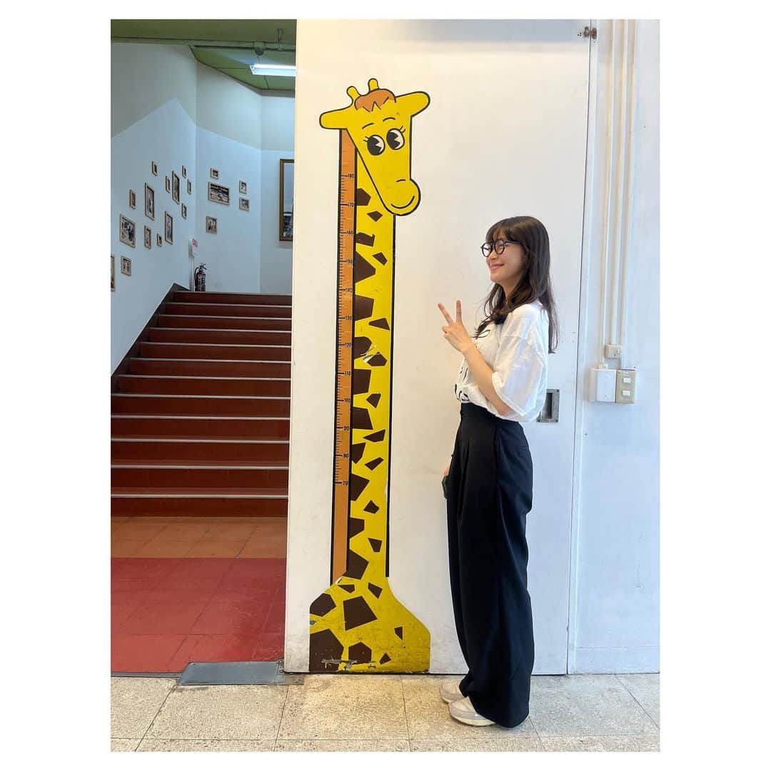 加村真美さんのインスタグラム写真 - (加村真美Instagram)「🦒🧍🏻‍♀️📐」7月6日 18時02分 - kamura_mami