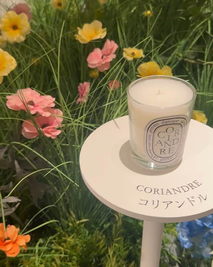 中田クルミのインスタグラム：「🤍 @diptyque 🤍」