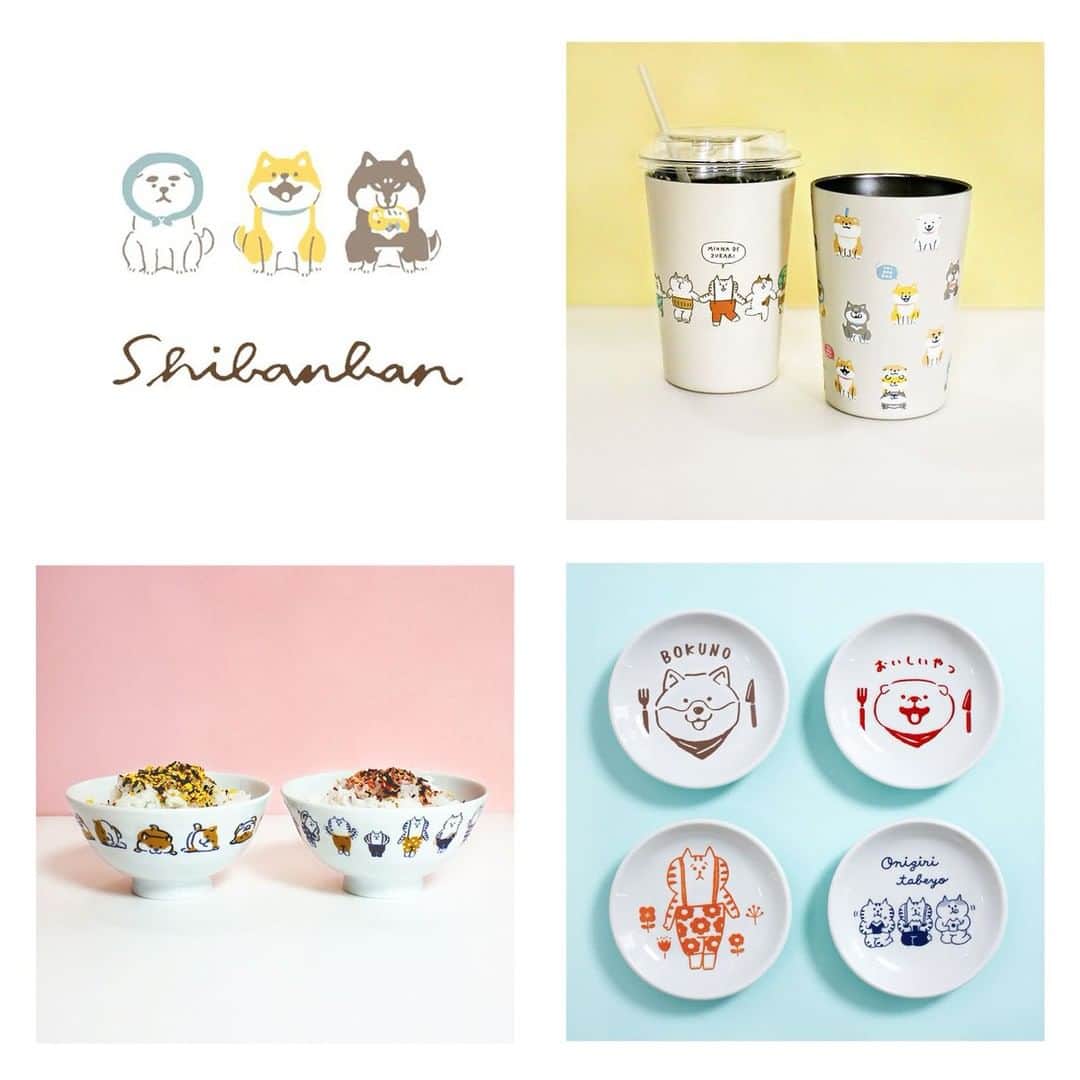 オオゴシヤステルのインスタグラム：「■NEW ITEM■ 「しばんばん シリーズ」に新商品が登場🌈  先日、インスタライブで紹介した毎日使う定番アイテムたちです😊♪  こちらの商品は、弊社オンラインストアにて7月7日より販売、店頭では本日より順次展開予定です。ぜひチェックしてくださいね！  【2WAY真空二重タンブラー】 保温保冷機能付きのタンブラー。 氷を入れてもまわりに水滴がつきません❄️  【茶碗】 毎日使う定番アイテムのお茶碗🍚 食卓が楽しくなります😊  【小皿】 スイーツなどをのせるのにぴったりなサイズの小皿。 アクセサリートレーとしてもおすすめです💍✨  ※ごろごろにゃんすけのアイテムに関しては、@tsumugimurasato もしくは @mindwaveinc にてご確認ください🙇‍♂️  【海外発送について】 現在、マインドウェイブオンラインストアからの海外への発送は承っておりません。転送.comなどをご活用いただいております。何卒ご了承下さい🙇‍♂️  #マインドウェイブ #mindwave #しばんばん #shibanban #オオゴシヤステル #むちころばんばん #muchicorobanban #微笑柴犬 #柴犬 #shibainu #しばいぬ」