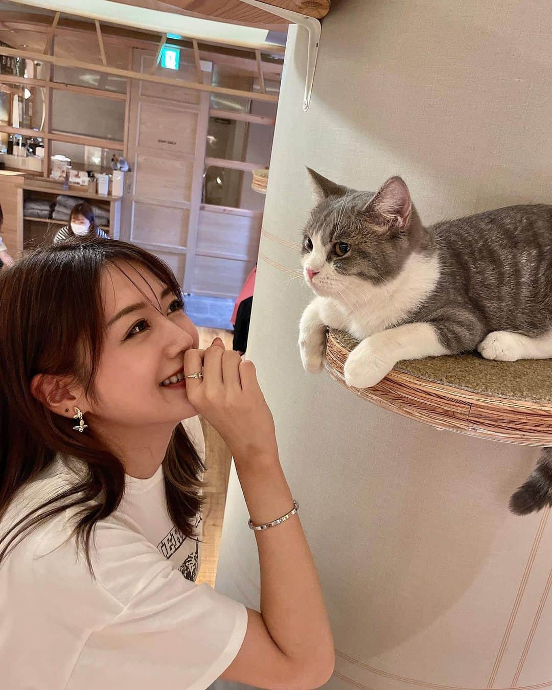 ISHIIYUKIKOさんのインスタグラム写真 - (ISHIIYUKIKOInstagram)「癒しの休日🥺❤️ ゆりえちゃんと猫様に癒されに猫カフェに行って来たー😍 @mocha.sinjyuku @yurie808golf   子猫におやつあげると取り合いしてて可愛かった🥺  匂いとかもなく清潔感あって居心地良き❤️気まぐれで寄ってくる猫様がいたり、ニャンプロ（猫のプロレス）が始まったり飽きないの😍  とても癒されたー💕また行きたい🐱  #猫カフェmocha #猫カフェ #PR #新宿猫カフェ #新宿カフェ #ニャンプロ #catstagram #catlover #猫好きさんと繋がりたい」7月6日 19時26分 - ishii_yukiko