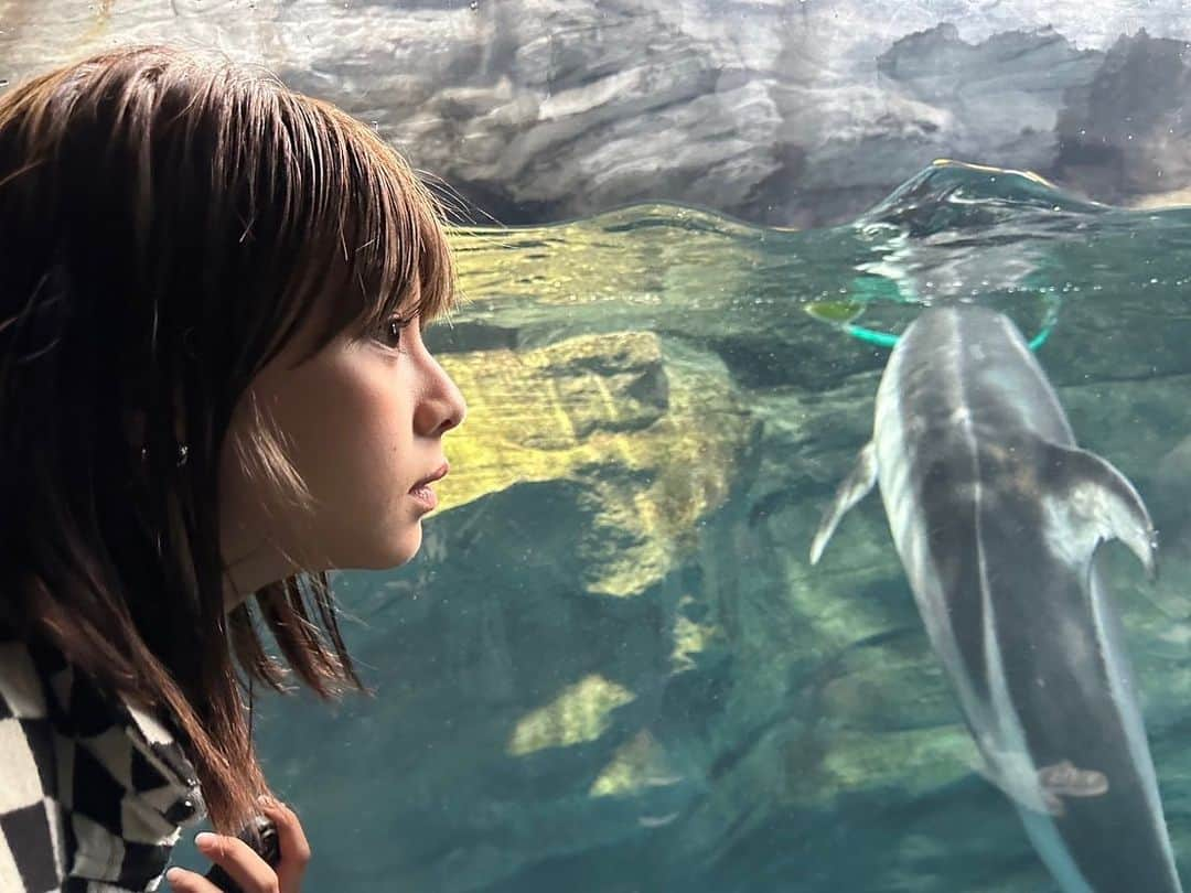 田中美麗さんのインスタグラム写真 - (田中美麗Instagram)「オタ活ついでの大阪観光〜水族館編  水族館ではマジマジとお魚をみてしまいます🐟  けど、お魚より人が水槽の中にいるとすごいテンション上がっちゃう笑  その様子は次回の投稿に載せるね😆  オタ活の写真、インスタに載せるか悩むなぁ😕 引いちゃうんじゃないかな？みんな笑  大丈夫かな？  #osaka #trip #travel #japan #水族館 #fish #aquarium #photography #photo #photographer #photooftheday #japan #instagood #followme #styleinspo #fashionista #makeup #좋아요 #패션 #뷰티 #맞팔 #拍照 #拍攝 #white #清純 #海遊館 #fashion #❤️ #gravure #girl #japanesegirl」7月6日 19時38分 - mirei_tanaka_