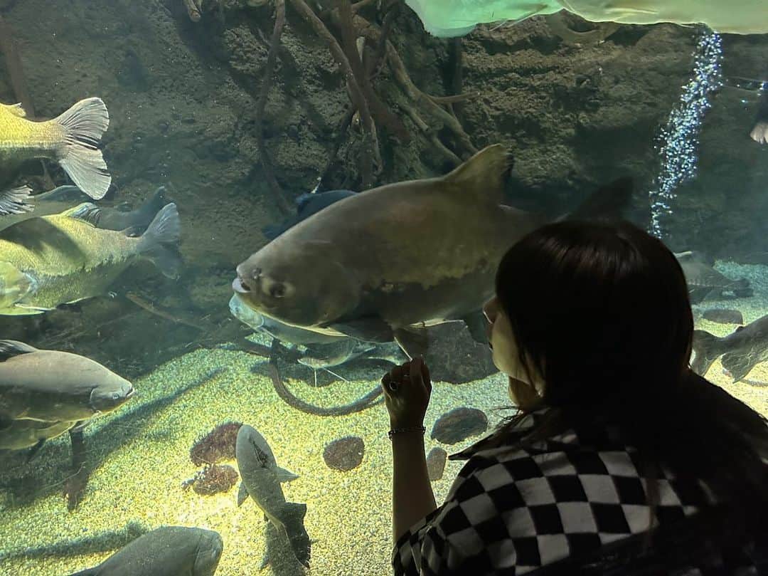 田中美麗さんのインスタグラム写真 - (田中美麗Instagram)「オタ活ついでの大阪観光〜水族館編  水族館ではマジマジとお魚をみてしまいます🐟  けど、お魚より人が水槽の中にいるとすごいテンション上がっちゃう笑  その様子は次回の投稿に載せるね😆  オタ活の写真、インスタに載せるか悩むなぁ😕 引いちゃうんじゃないかな？みんな笑  大丈夫かな？  #osaka #trip #travel #japan #水族館 #fish #aquarium #photography #photo #photographer #photooftheday #japan #instagood #followme #styleinspo #fashionista #makeup #좋아요 #패션 #뷰티 #맞팔 #拍照 #拍攝 #white #清純 #海遊館 #fashion #❤️ #gravure #girl #japanesegirl」7月6日 19時38分 - mirei_tanaka_