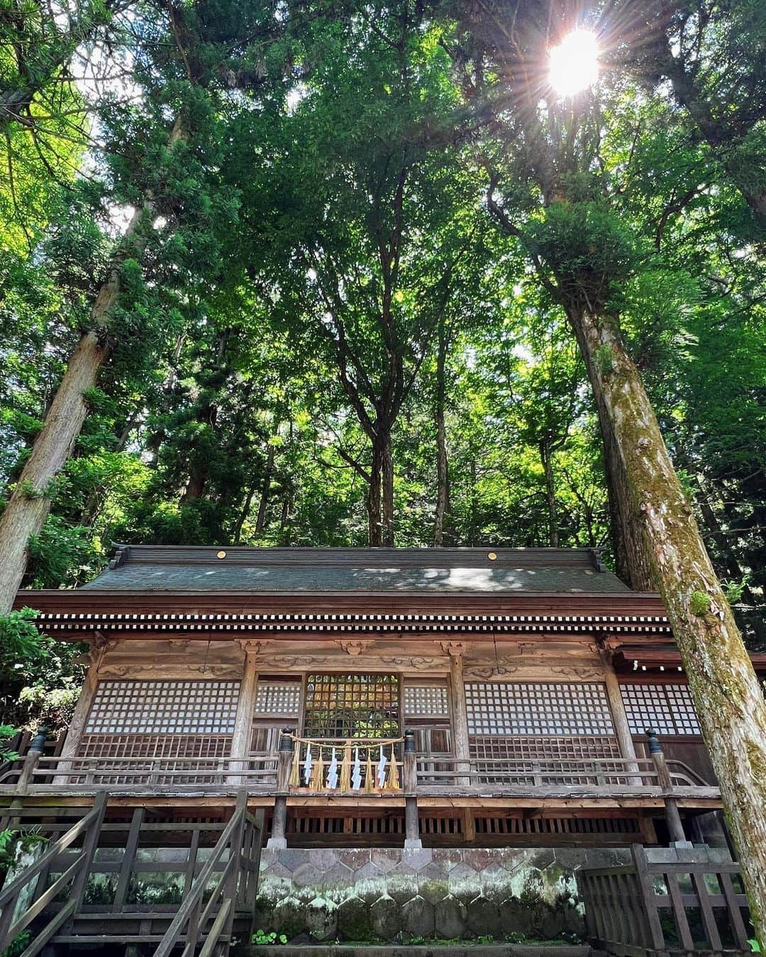 一双麻希 さんのインスタグラム写真 - (一双麻希 Instagram)「長野の諏訪大社。 神社は好きで色々行くけど、 ここは本当に立派な木々に囲まれていて、なんだかすごく神聖な気を感じた特に好きな神社でした。😌✨ 御朱印帳を忘れたのが悔やまれる。。🙁😩 夏の空だなぁ。✨  #諏訪大社 #諏訪大社上社本宮 #諏訪湖 #諏訪   #神社巡り #パワースポット #パワースポット神社 #御朱印帳 #御朱印巡り #神社好き #自然が好き #長野観光 #長野 #国内旅行 # #旅好き #旅好きな人と繋がりたい #旅好き女子 #登山初心者 #山女 #山ガール #山好き #登山女子 #山好き #登山 #山好きな人と繋がりたい #アウトドア女子 #自然写真 #japanview #naturephotography」7月6日 19時48分 - isso_maki315