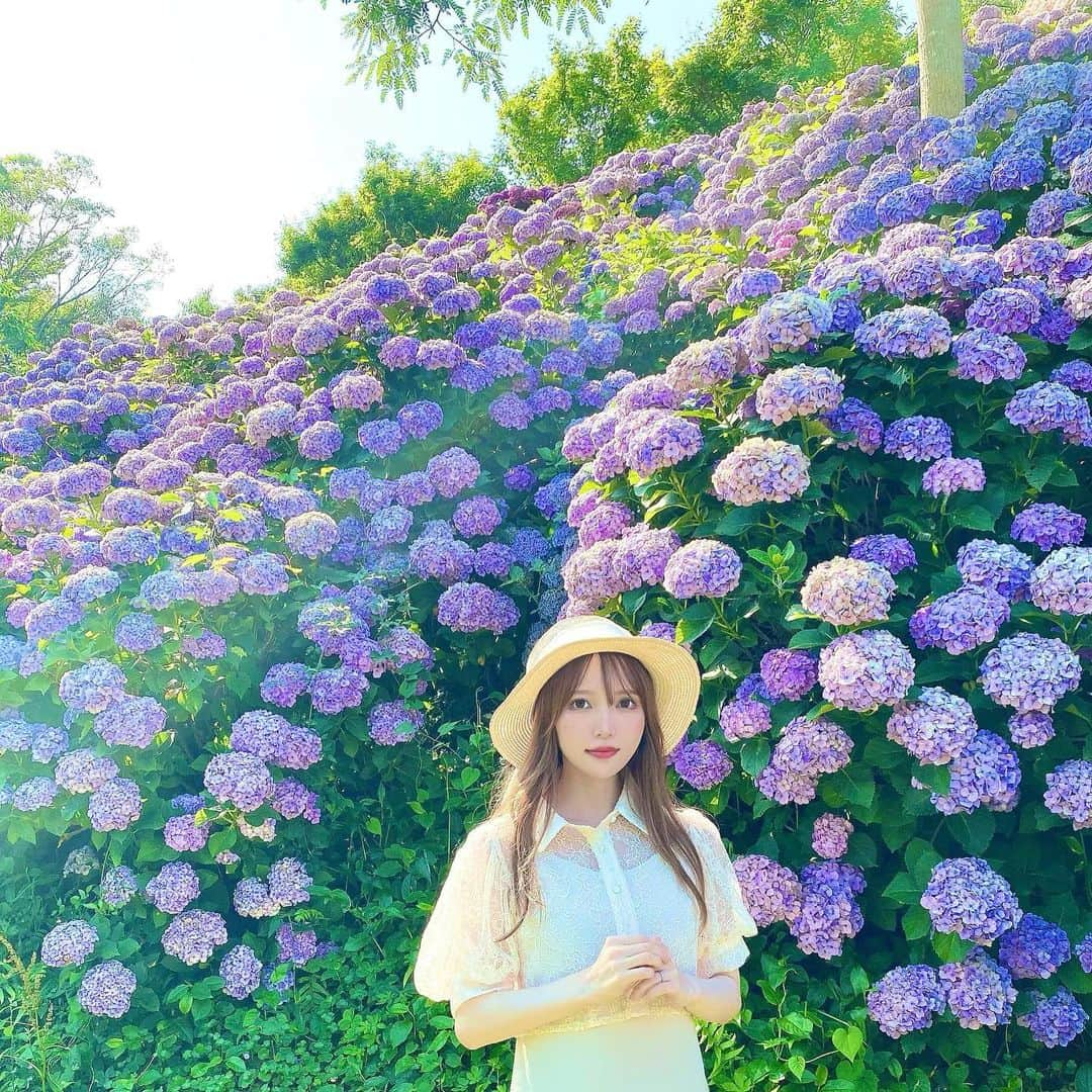 Moeka Takamatsuさんのインスタグラム写真 - (Moeka TakamatsuInstagram)「♡ 7月だけど6月の写真載せる🫧 安定の時差投稿😹 . 梅雨は憂鬱だけど紫陽花はすき‪‪❤︎‬ . . . . . #桃源郷岬#紫陽花#梅雨コーデ#春服コーデ#コーデ#ファッション#fashion#コーディネート#デートコーデ#プチプラコーデ#グレイル#grl#カジュアルコーデ#低身長コーデ#ロングヘア#ヘアスタイル#hairstyle#サロモ#被写体#写真#selfie#selca#麦わら帽子#麦わら帽子コーデ#時差投稿 #followme#instagood#like4like」7月6日 20時11分 - moka_222