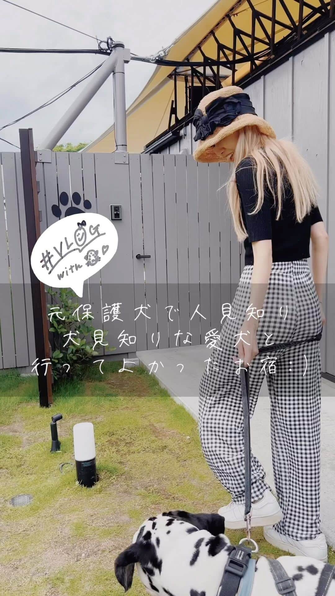 浅場佳苗のインスタグラム：「愛犬家さんへはもちろん、人見知りだったり犬見知りさんな愛犬をご家族に持つ方へ情報を届けられたらという気持ちで、vlogを作ってみました👱‍♀️🐶🤍 #きょうのドット #保護犬 #犬と泊まれる宿 #ドッグヴィラ千葉南房総 #ダルメシアン #大型犬 #犬との暮らし #tokyo #japan #dancemusic #dancepop #edm #singer #songwriter #シンガーソングライター #フレキシタリアン #動物愛護 #サスティナブル #エコ #地球にやさしいミュージシャン #愛犬家 #浅場佳苗 #kanaeasaba」