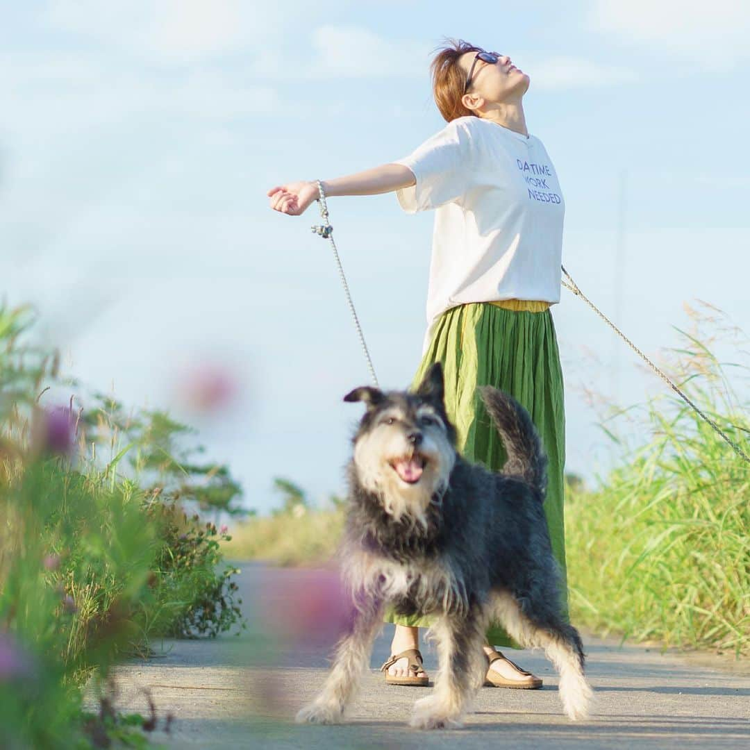 甲斐麻美のインスタグラム