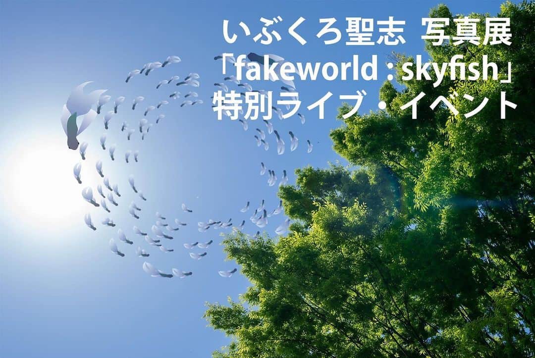 いぶくろ聖志さんのインスタグラム写真 - (いぶくろ聖志Instagram)「写真展「fakeworld : skyfish」の設営も完了！''o(ﾟдﾟo) 明日からTKatelierHOUSEにて！  7/15,8/5,8/6はそれぞれ特別イベント！ 詳細はプロフィールのホームページから各日を見てもらえると申込アドレスが記載されてますっ  #いぶくろ聖志　#箏　#写真　#琴　#koto #TKatelierHOUSE #東京　#池の上 #photography」7月6日 20時43分 - b.smpl