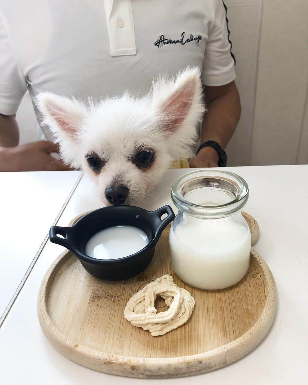 北口麻奈さんのインスタグラム写真 - (北口麻奈Instagram)「お出かけ前のランチタイム🍴 ココカフェさんへ(@cococafe_pochipochi )🐕 梅雨ブースのキラキラに惹かれて、まずは撮影📸 抹茶ちゃんもキラキラ光る星の飾りを不思議そう〜に見つめていました。 . お店のクマさんにインタビュー🎤 抹茶「ご飯は食べたので、ちょっとしたオヤツが食べたいんですが🐕」 くまさん「ヤギミルクについてるクッキーがオススメですよ」 ヤギミルククッキーが美味しかったみたいで、無我夢中で食べてました🤭 他のブースも、可愛く飾り付けられていました。 あぁ、海行きたいな🏖️ #犬のいる暮らし #犬とお出かけ関西 #ポメチワ #ぽめちわぐらむ」7月6日 20時50分 - asana_kitaguchi