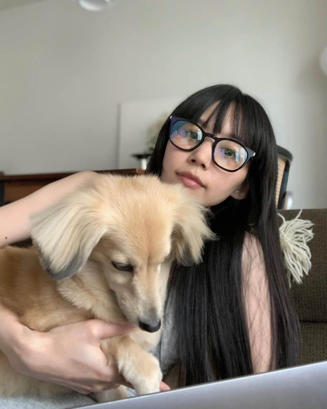 Shiho Sasakiのインスタグラム：「どうやってもカメラみてくれないよな😞🐾  #おうち時間 #homesweethome」