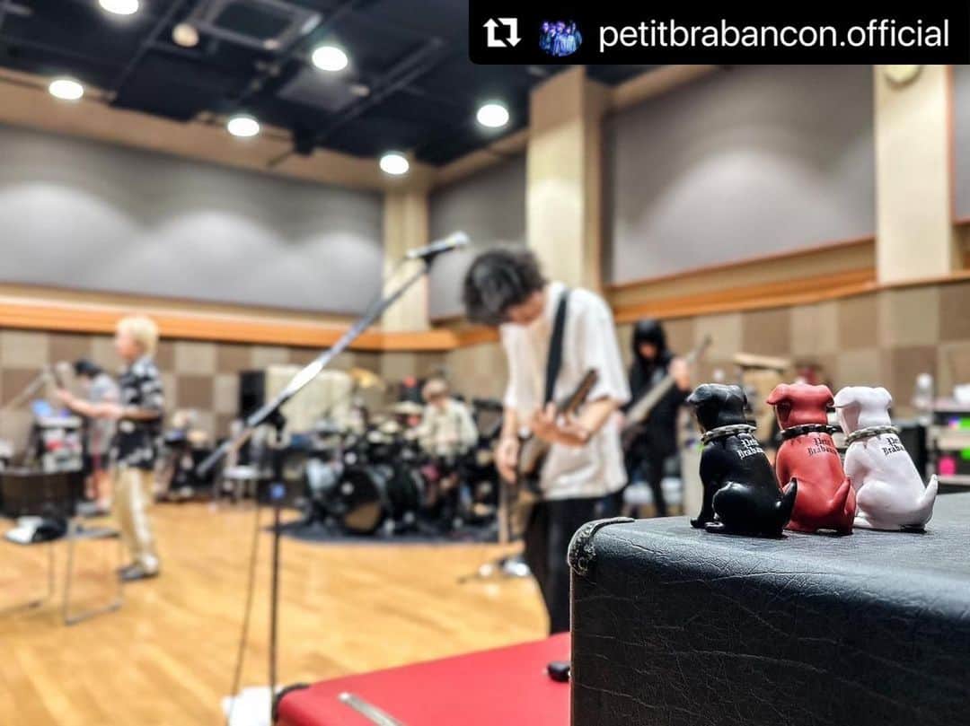 ミヤ のインスタグラム：「・・・ ＼いよいよ来週よりスタート📣／  #PetitBrabancon Tour 2023 「INDENTED BITE MARK」  ただいま絶賛リハーサル中🎧𓂃𓈒𓏸︎︎︎︎  皆さんに会える日を心待ちしております🐶  🎫全国ツアーチケット発売中 eplus.jp/pb/  @kyo_official  @_acidandroid_  @miyaguchi  @tokyo_shoegazer_official  @hirofumi_takamatsu」