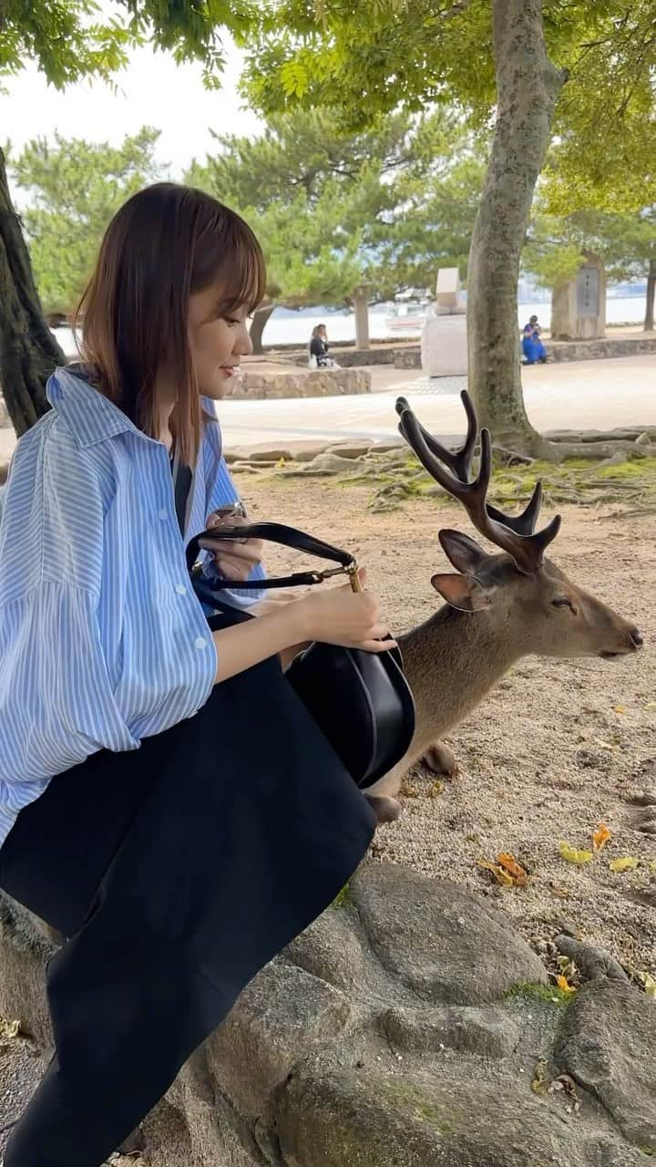 保﨑麗のインスタグラム：「鹿可愛かった🦌  #広島 #宮島 #厳島神社 #鹿 #hiroshima  #miyajima」