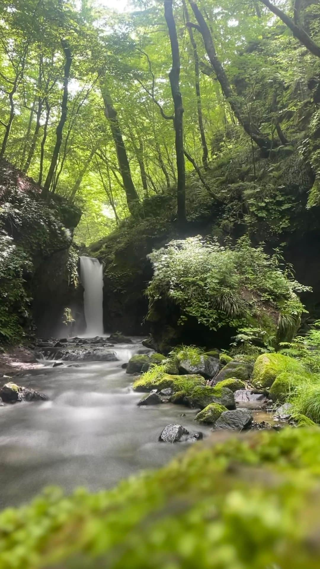 遠海まりこのインスタグラム：「Beautiful island #japan #nagano #karuizawa #longtimeago #美しき日本 #川のせせらぎ」