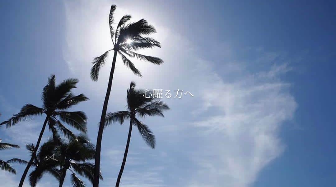 布施柚乃さんのインスタグラム写真 - (布施柚乃Instagram)「迷ったら心躍る方へ  迷ったら心から楽しめる方へ  自分を信じればそれは正解！」7月6日 21時43分 - yuno.fuse