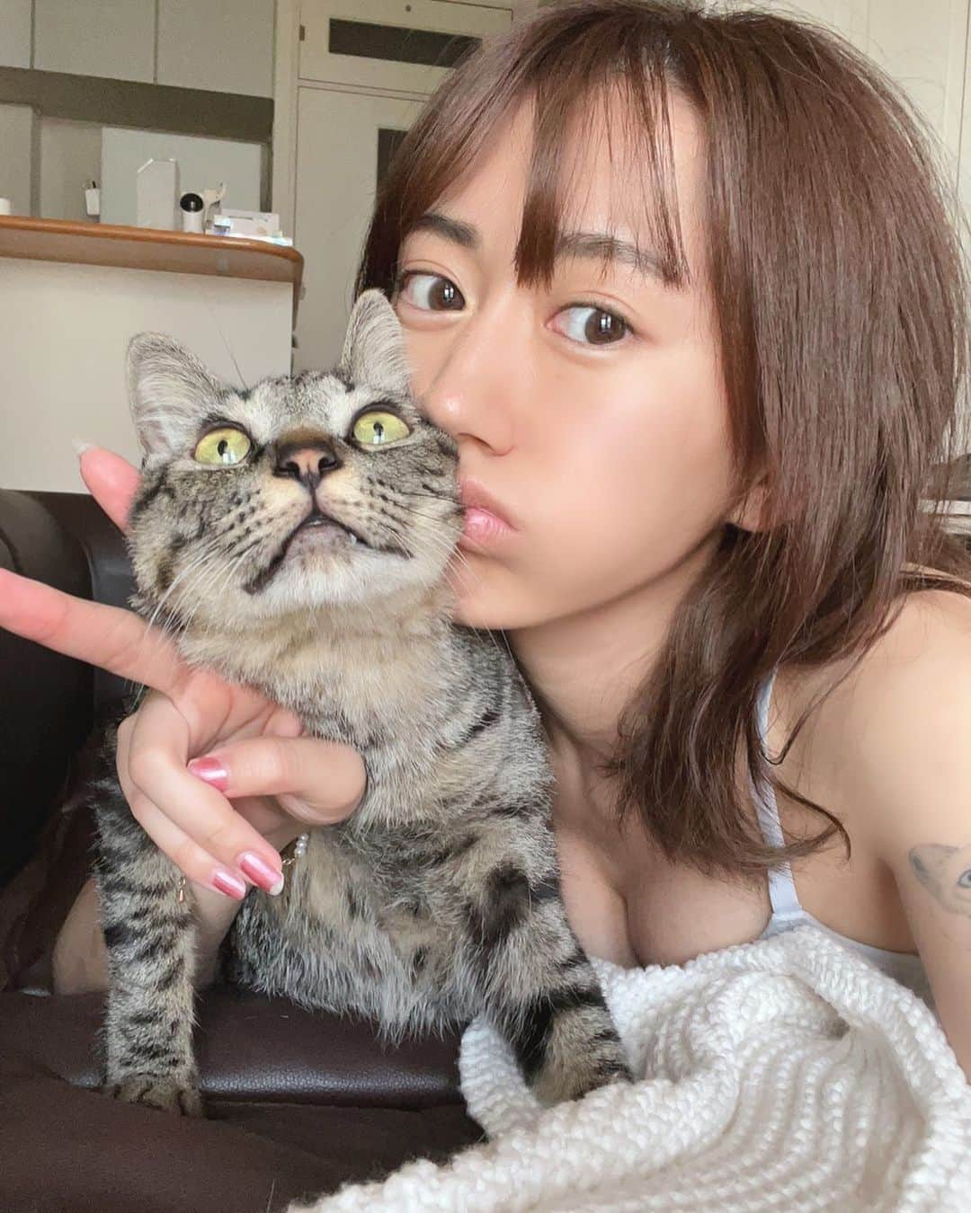 照井和希のインスタグラム：「おはようでやんす🐈‍⬛  #キジトラ #キジトラ猫 #保護猫 #保護猫出身」