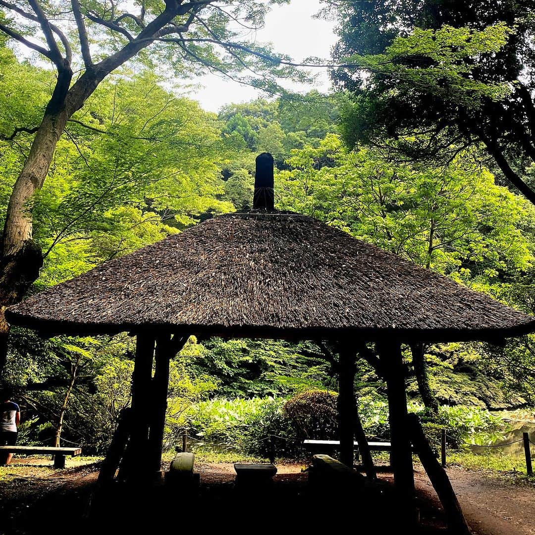 km観光タクシーさんのインスタグラム写真 - (km観光タクシーInstagram)「Meiji Jingu Shrine  #tokyotour #tokyolife #tokyonow #tokyotrip #tokyotravel #tokyojapan #tokyotokyo #tokyosightseeing #tokyotourism #tokyophotography #tokyosnap #tokyocity #visittokyo #mytokyois #kmタクシー #東京観光」7月7日 8時00分 - tokyodrive.jp