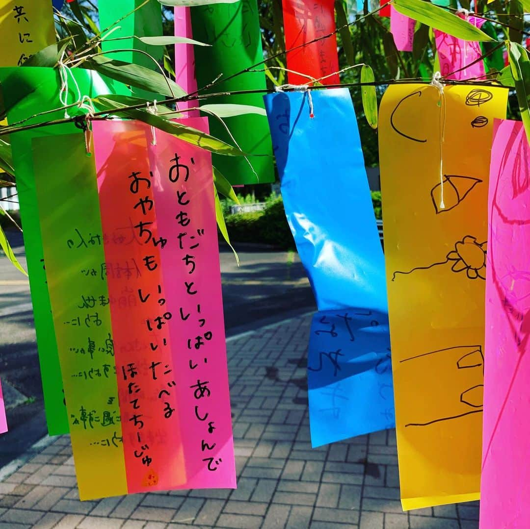 鈴木桃子さんのインスタグラム写真 - (鈴木桃子Instagram)「今日は七夕🎋 近所の公園に飾ってある笹の葉の短冊飾りが朝陽を浴びてキラキラしてました🤩✨🌟 さぁ、今夜はいよいよLove Jetsのライブですよ！ 地球ベイビ〜👽😘思い切り楽しんでおくれ〜💖💖💖私もテンションmaxで楽しむぜぃ〜😎😆🎶💕  ほたてちーじゅ🥹  ★2023年7月7日(金) LOVE JETS LIVE @The Shojimaru http://shojimaru.main.jp/  LOVE JETS: pye-ron(b.vo) principal(ds.vo) watt(vj,g,cho)  guest：COSA NOSTRA momoko suzuki(vo) reiko oda(vo)  19:00 open/19:30start ¥4,000+1drink  #lovejets #忌野清志郎 #kaname #阿部耕作 #watt #小田玲子 #鈴木桃子 #cosanostra #コーザノストラ #shojimaru」7月7日 8時09分 - momokosuzuki