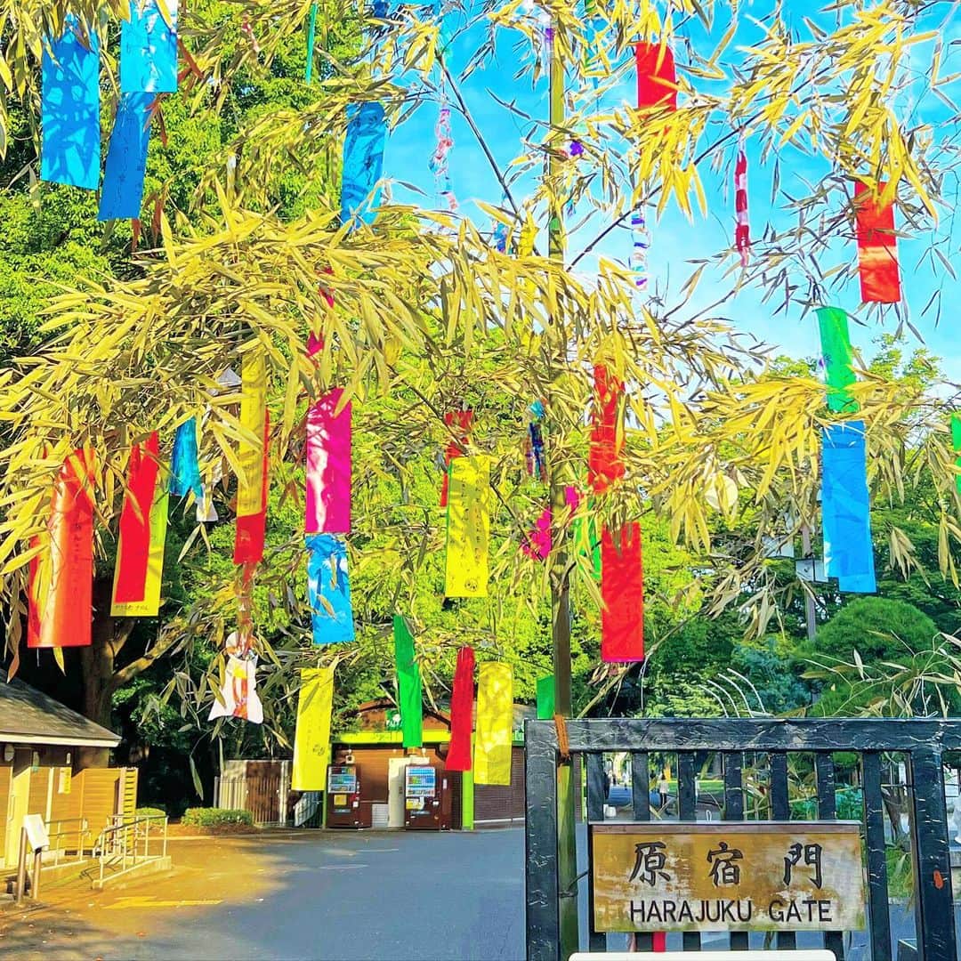 YOKANのグルメインスタ