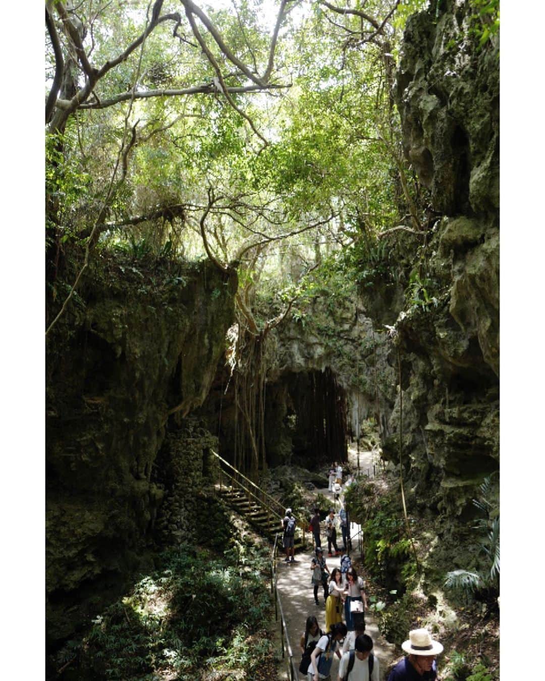 行方 久子 Hisako Namekataのグルメインスタ