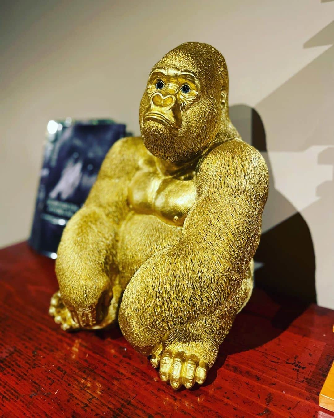本間憲のインスタグラム：「誕生日祝いに大好きなゴリラをもらった。しかも黄金色。みんなありがとう！これはマジ嬉しいわ、ウホウホ🦍  足若丸はセンスなかったけどなー(笑)これは上がる⤴️  ゴリラは世界を平和にする。」