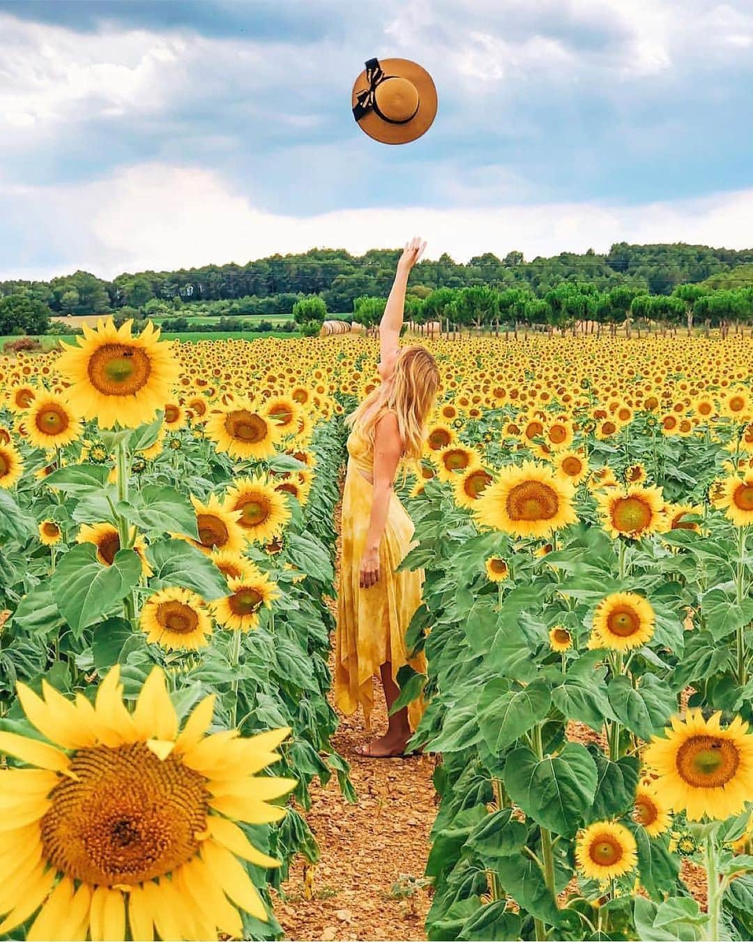 Earth Picsさんのインスタグラム写真 - (Earth PicsInstagram)「Sunflower 🌻 paradise in Catalonia Spain 🇪🇸 by @marinacomes」7月7日 0時07分 - earthpix