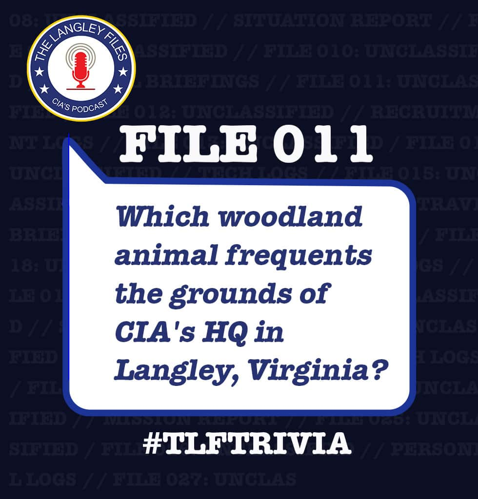 CIAさんのインスタグラム写真 - (CIAInstagram)「#ICYMI: Each episode of The Langley Files ends with a trivia question, which is answered in the following episode.   Spoiler alert - the answer to File 011's trivia question can't even be found in CIA's #WorldFactbook. Can you guess the answer?   Now on Spotify, Apple Podcasts, Google Podcasts, and other major podcast platforms!  #TheLangleyFilesTrivia #TLFTrivia」7月7日 0時42分 - cia