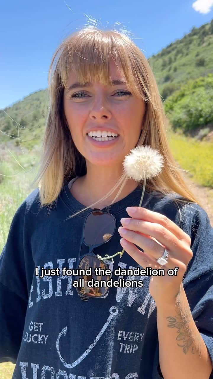 Emily Zeckのインスタグラム：「THE LAST DANDELION」