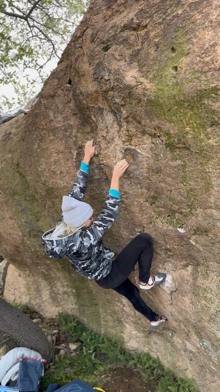 シエラ・ブレア・コイルのインスタグラム：「Tree Frog, V4 Oak Flat, AZ  These triple digit days are making me miss the frigid temps at Oak Flat this winter 🥶 😂   For fun background…this video is from the day we had to walk through EuroDog to get to The Maze. It was icy, snowy, cloudy, and windy. Easily the coldest day of the season…but also an awesome one since it was the first weekend of many that @zach_levy19, @queencreekbouldering, and I went to Oak Flat 🔥   Also…be sure to enjoy @zach_levy19 sunning himself on the top of the boulder 😂   🎥: @queencreekbouldering」