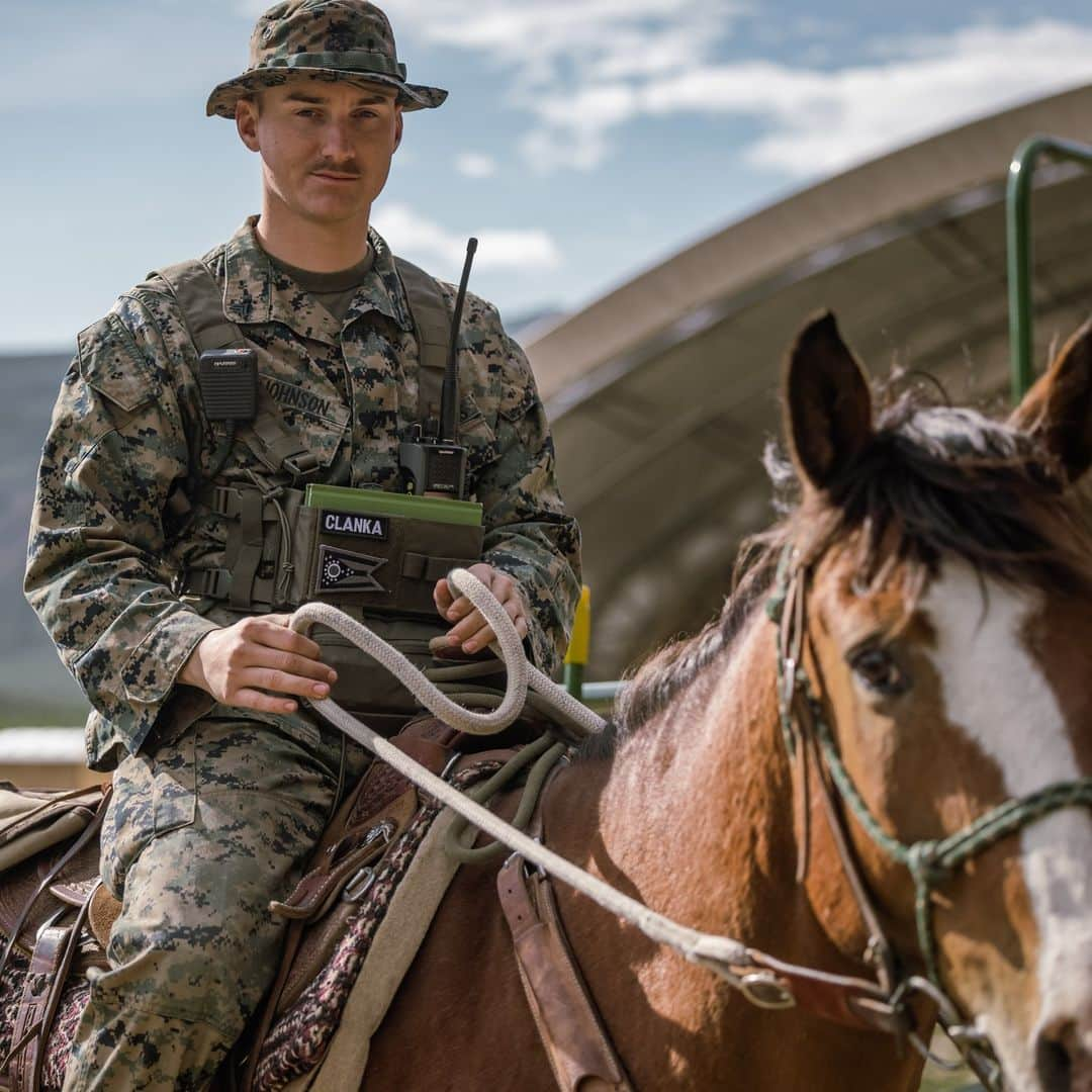 アメリカ海兵隊さんのインスタグラム写真 - (アメリカ海兵隊Instagram)「All-Terrain Vehicles 🐴   📍 Marine Corps Mountain Warfare Training Center, Bridgeport, California (June 18, 2023)  #Marines learn to ride horses, pack mules, and lead animals during Animal Packers Course 23-1.  Animal Packers Course teaches personnel to load and maintain pack animals for military applications in difficult terrain with mission-essential gear.   📷 (U.S. Marine Corps photo by Lance Cpl. Justin J. Marty)  #USMC #SemperFi」7月7日 2時42分 - marines