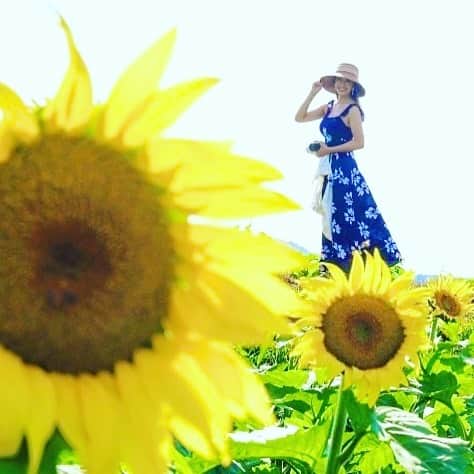 小早川怜子のインスタグラム：「夏が来たね😆  どうしてもこの歌が頭から離れない😆  みんなは🌻にはどんな歌を思い出すのかな😊  #ひまわり畑 #小早川怜子 #reikokobayakawa #2023summer #ひまわり」
