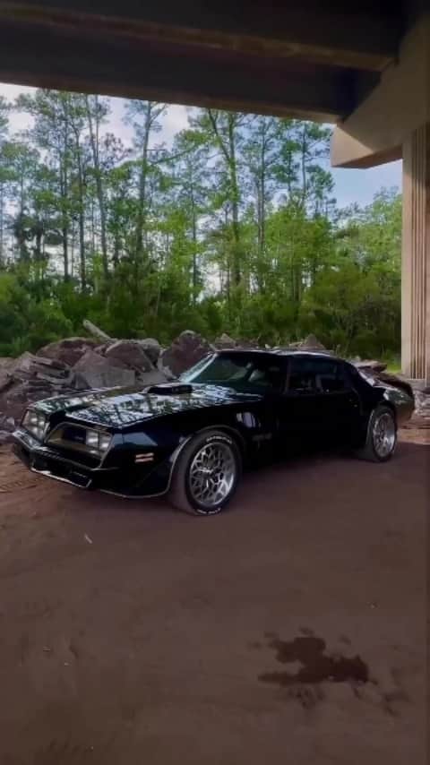 Classics Dailyのインスタグラム：「Via @the.dark.bandit  _ #Classic #classics #Classiccar #classiccars #americanmuscle #Musclecar #Musclecars #car」