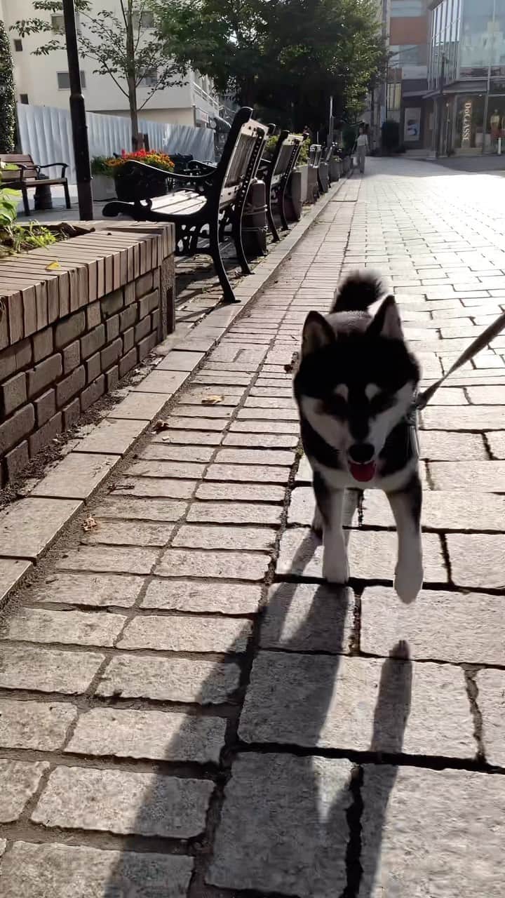 くろのグルメインスタ