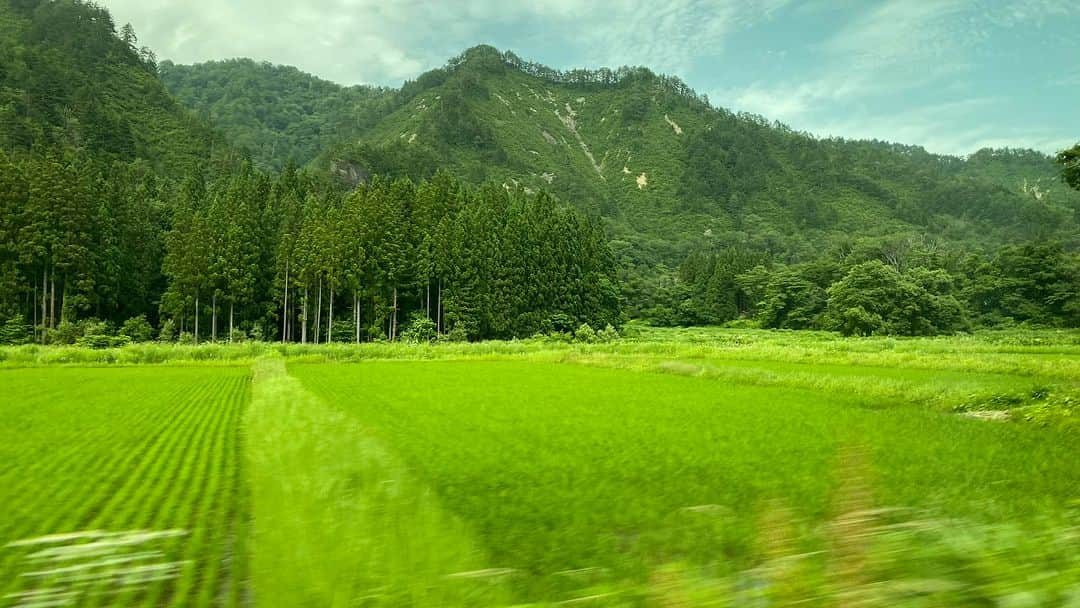 森まさこのインスタグラム：「昭和村に入りました。この景色。ホッとする景色。そして胸の奥がキュンとする景色。 人間は、自然の中で生まれて育つもの。私は夏休みも冬休みも母の実家のいわき市田人の山の中に預けられて育ちました。時々山に来ないと息が苦しくなってしまいます。ああ、今日も生き返った(^^)」