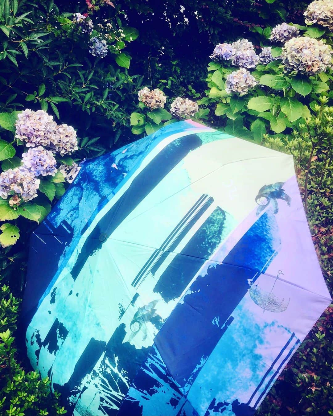 安藤裕子さんのインスタグラム写真 - (安藤裕子Instagram)「物販が発表になっています  「さみしがり屋のなまけもの達」  という名の折り畳み傘  ちょっとさみしがり屋のなまけものが隠れています 紫陽花の名残のような色合い  #TLC #折り畳み傘」7月7日 17時45分 - yuko_ando