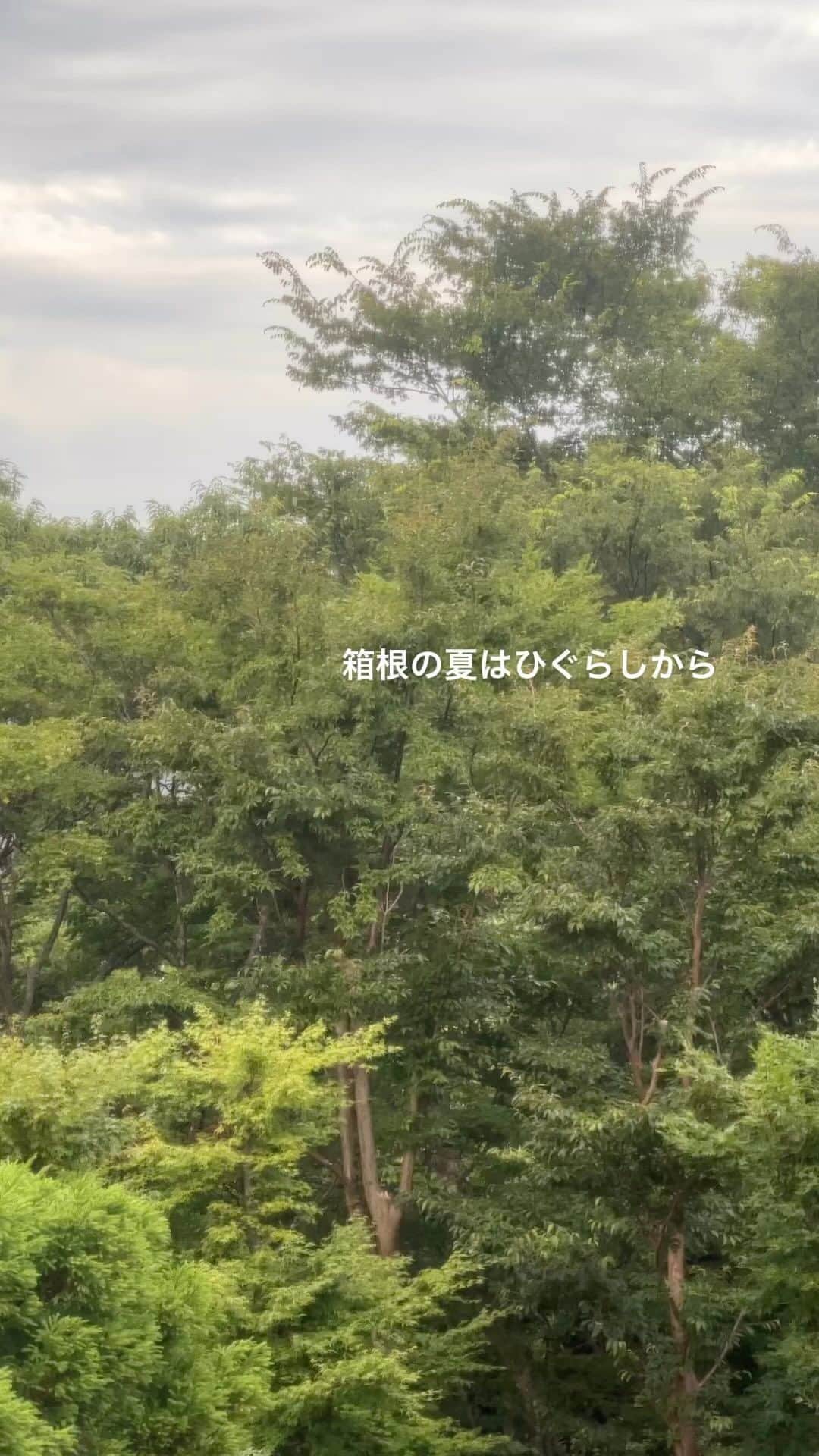 花澄のインスタグラム：「ミンミンゼミが最後なの おもしろいよねぇ。」