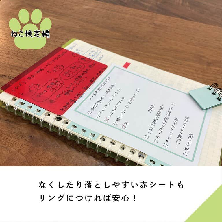 カンミ堂 公式さんのインスタグラム写真 - (カンミ堂 公式Instagram)「／ 穴開け不要　貼りつけるパーツでリングノートにひとまとめ！ ＼ ⁡ 社員Kは「ねこ情報」を１冊のリングノートにまとめて管理しています。ねこ検定に向けた勉強内容の記録、一緒に暮らす猫のこと、備品の買い物リスト...📒 ⁡ ちょっとしたメモやプリントアウトした資料を保管するとき意外と困るのが、「穴をあけるか？」。 手元にパンチが無かったり、穴が拡がって取れてしまったり、そもそも穴開け自体に抵抗があったり...。 ⁡ そんなときに活躍するのが『リングリーフ』 ふせんと同じ素材でつくった「リングノートと紙類をつなげるパーツ」です。パーツののり付きフィルム部分にメモや資料を貼り、切れ込みからリングにパチパチとはめるだけ。貼り剥がしもできるので、別の方法で保存したくなったときは簡単に元の状態に戻せます。 ⁡ 実は赤シートの持ち運びにも便利。 勉強シーンはもちろん、ログづくりや推し活ノートにもおすすめです。 ⁡ 同居猫と実家猫監視のもと、ねこ知識（食事編）を吸収中です。人間、食べられるもの多いなあ... ⁡ #カンミ堂 #kanmido #フィルムふせん #ふせん #付箋 #はがせるマーカー #はがせるマーカーSTUDY #勉強 #ノートまとめ #暗記学習 #ねこ検定　#ねこ #猫の手 #検定チャレンジ #カンミ堂社員の検定チャレンジ」7月7日 17時48分 - kanmido_official