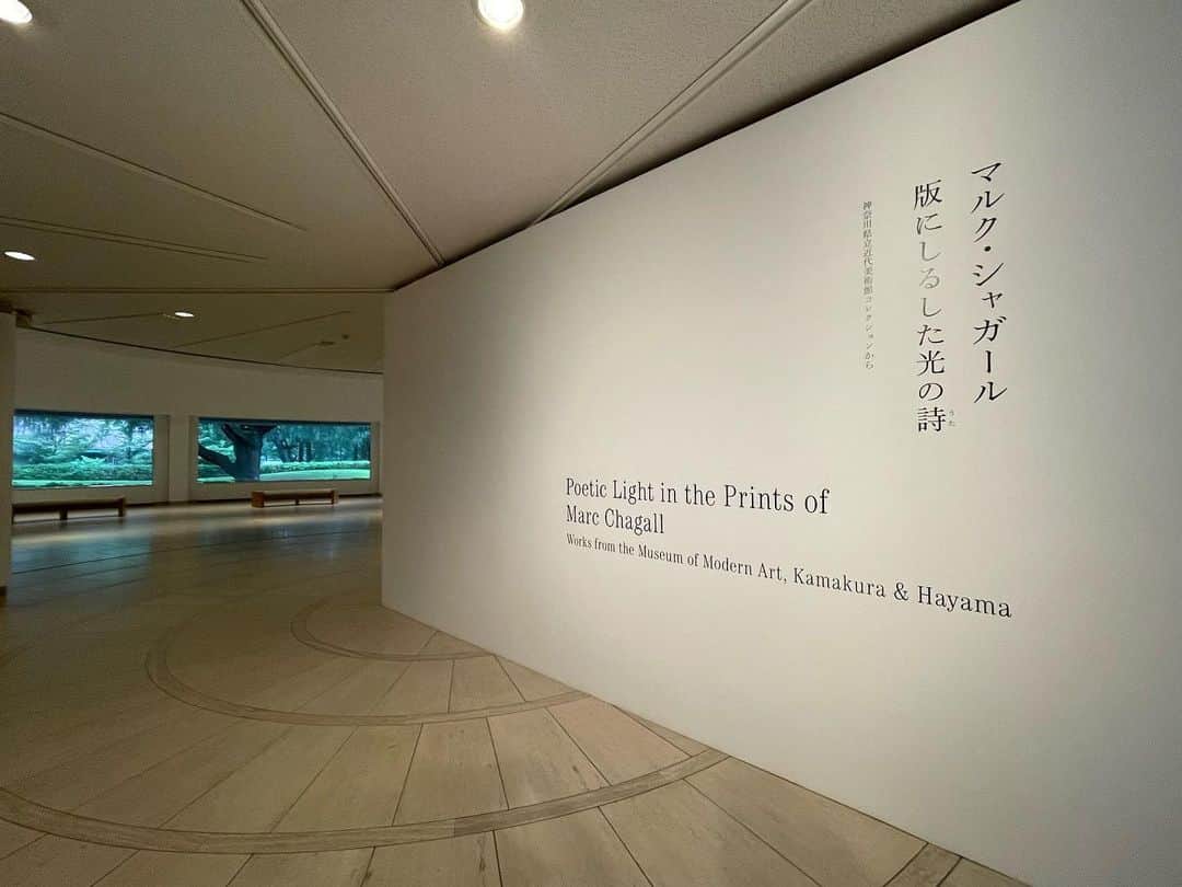 DJ AIKO 62さんのインスタグラム写真 - (DJ AIKO 62Instagram)「マルク・シャガール　版にしるした光の詩 神奈川県立近代美術館コレクションから Poetic Light in the Prints of Marc CHAGALL:  Works from the Museum of Modern Art, Kamakura & Hayama 2023.07.01 - 08.27 世田谷美術館 1階展示室 Setagaya Art Museum  美術展マガジン【読むアート噺】に、レポを掲載中です。プロフィール　@djaiko62 のリンクツリー→noteからが便利です。 「今度何見に行こう？」のヒントになれば嬉しいです。  ・写真は申請・許可を得て撮影しています。掲載時のルールもありますので、転用・転載、レイアウト写真としての使用、リポストなどは申し訳ありませんが全てお断りしています。投稿自体をご覧いただけるようにストーリーやSNSでシェアして下さると嬉しいです。  こちらが記事、投稿のテキスト部分や番組のネタ元・きっかけとなった場合は必ずクレジット表記やアカウントの紹介もあわせてお願いいたします。  ＋＋＋＋＋ おすすめ美術展を紹介しています。 よかったら @djaiko62 をフォローして下さい。 ＋＋＋＋＋  #世田谷美術館  #砧公園  #シャガール  #マルクシャガール  #MarcCHAGALL  #版画  #愛の画家  #神奈川県立近代美術館  #東京  #おすすめ美術展  #美術館巡り  #美術館  #アート散歩  #DJAIKO62  #djaiko62のアート噺  #学芸員djのdjaiko62  #読むアート噺  #アート噺  #用賀  #世田谷  #望月コレクション」7月7日 9時32分 - djaiko62