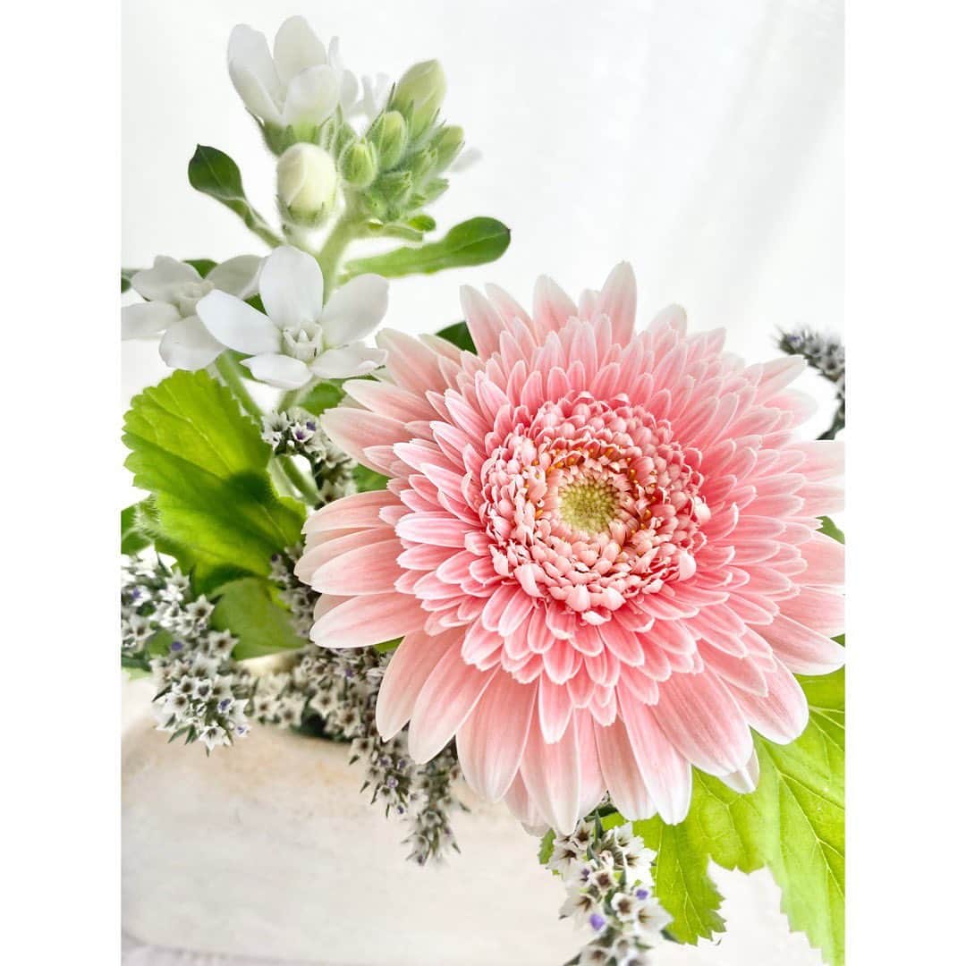 吉野史桜のインスタグラム：「7月7日　七夕だね〜🥳  皆様が会いたい人に会えますように 🌌🎋✨✨  さ〜さ〜の〜は〜 さーらさら〜♫✨✨✨✨✨」