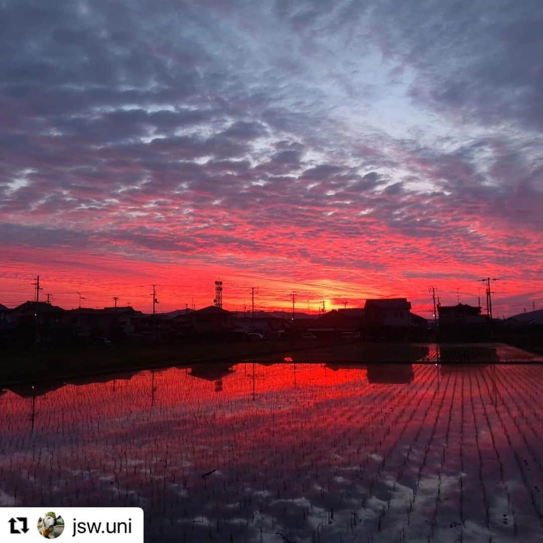 西条市のインスタグラム